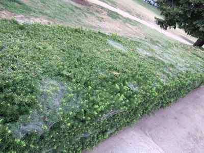 Thumbnail 25 of 171.