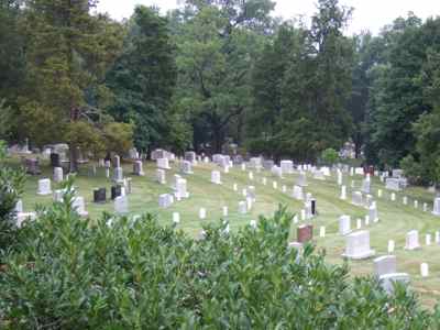 Thumbnail 76 of 171.