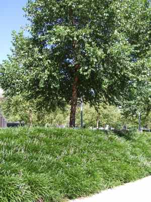 Thumbnail 81 of 171.