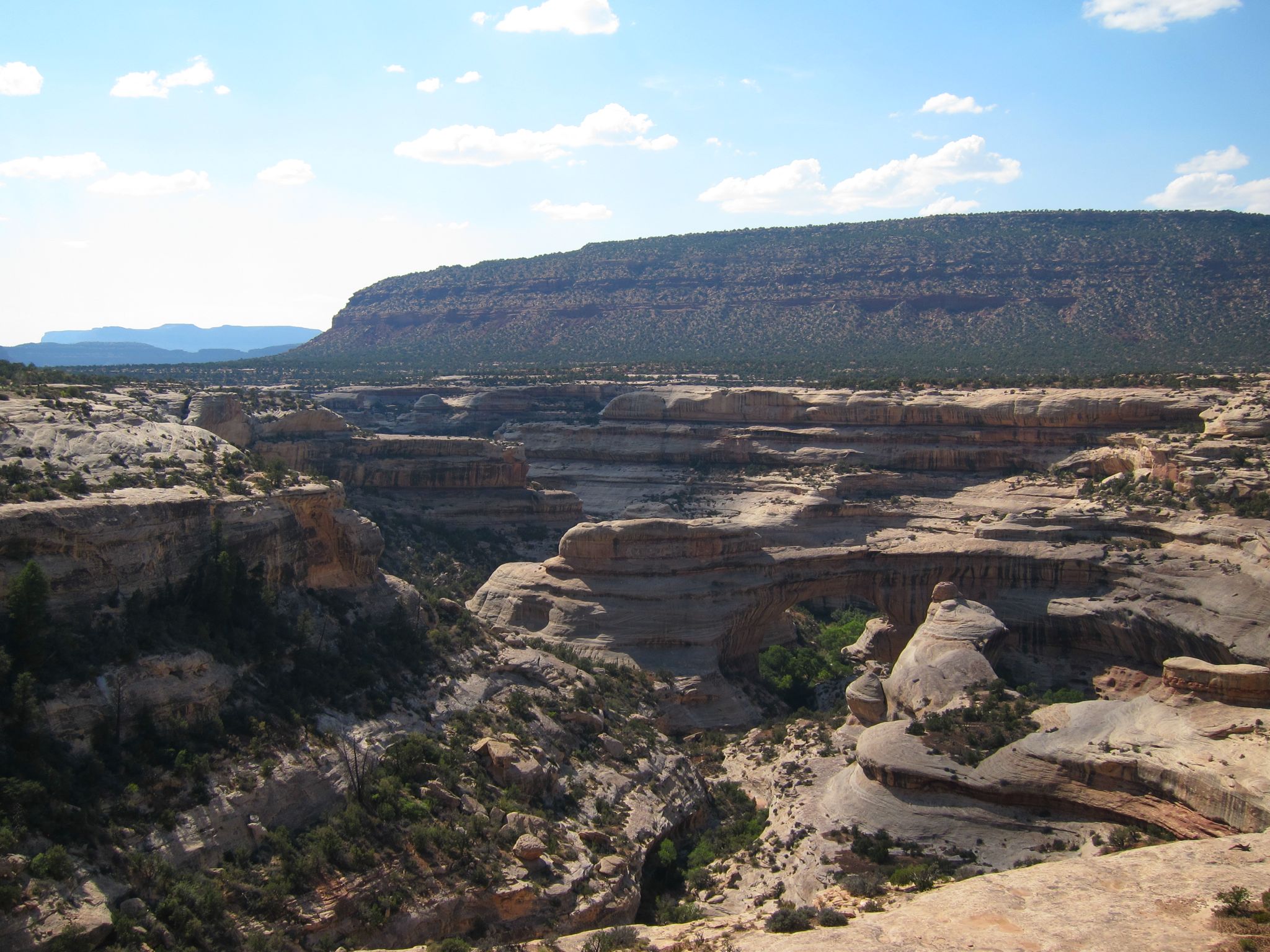 Photo 118 of 215 from the album Highlights Road Trip USA 2012.