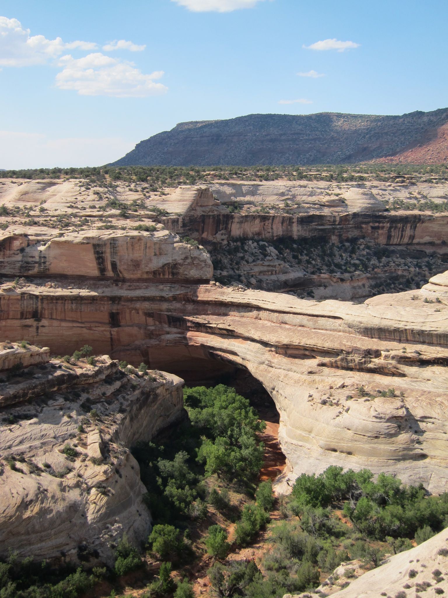 Photo 119 of 215 from the album Highlights Road Trip USA 2012.