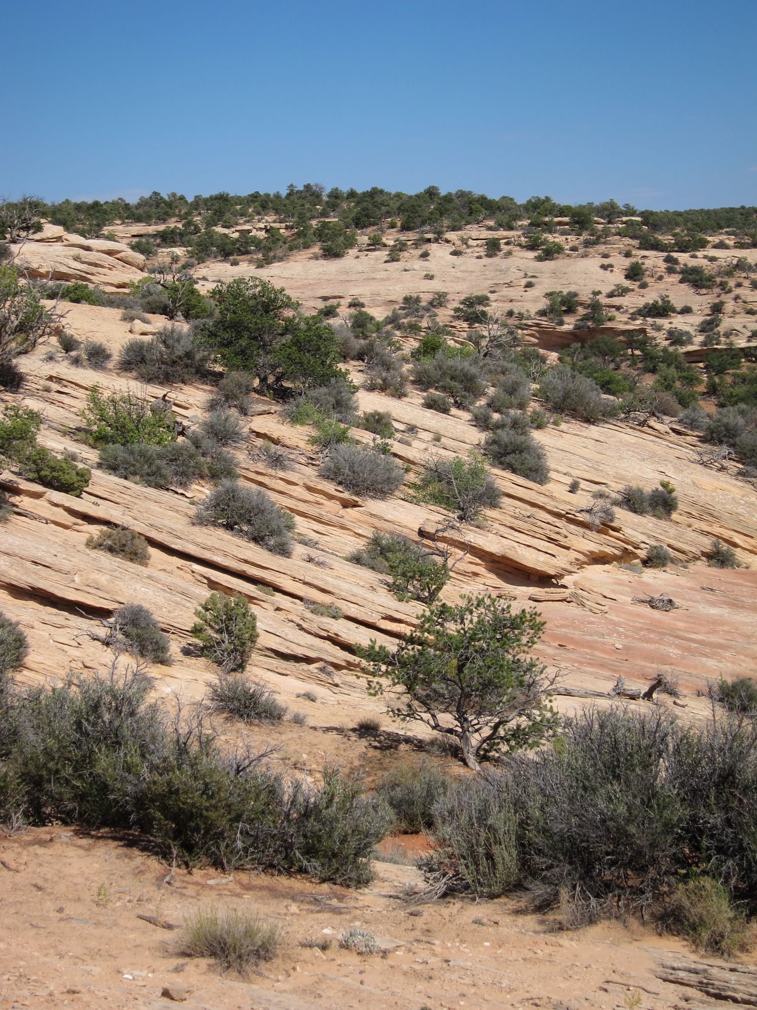 Photo 120 of 215 from the album Highlights Road Trip USA 2012.