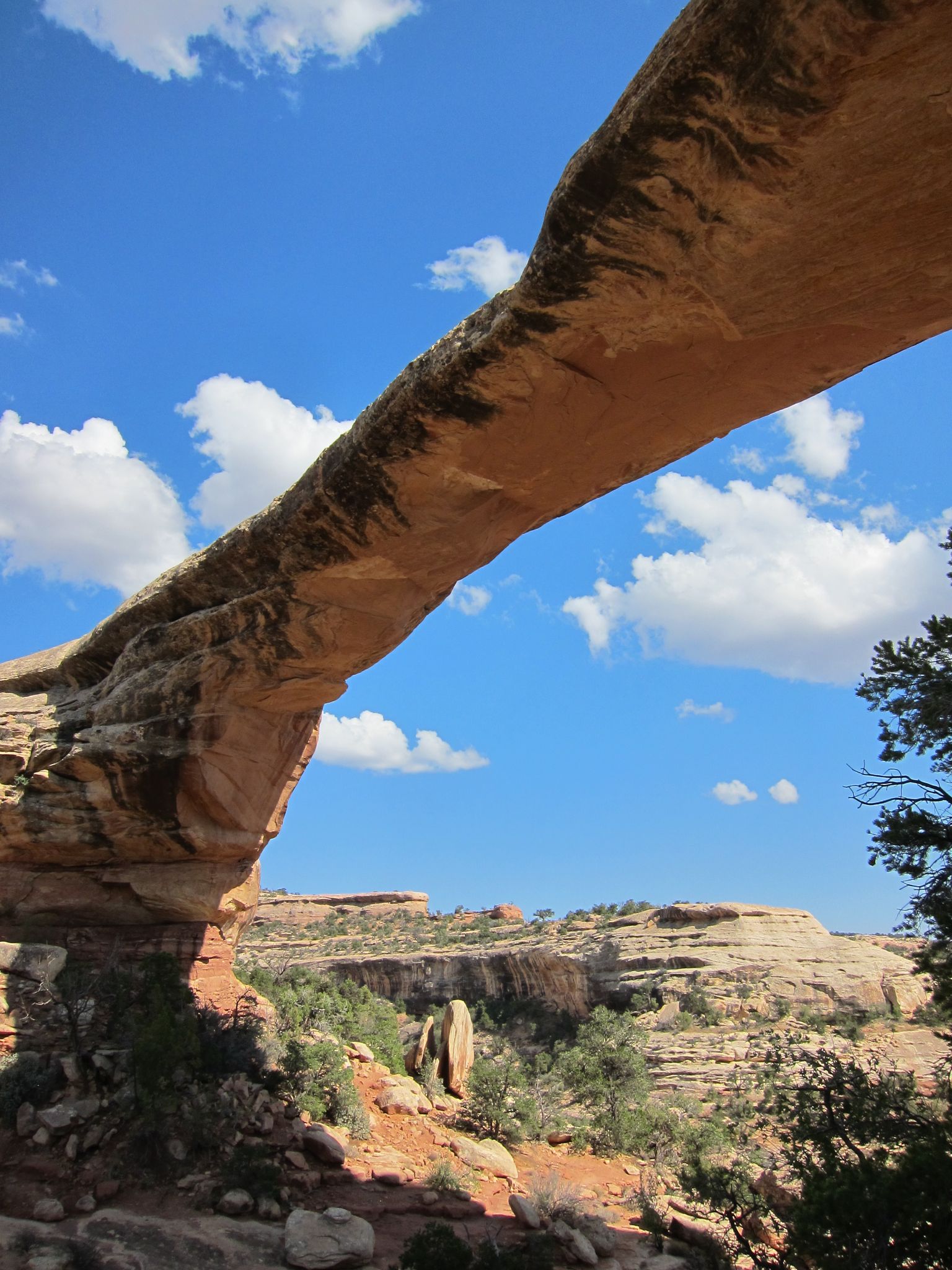 Photo 121 of 215 from the album Highlights Road Trip USA 2012.