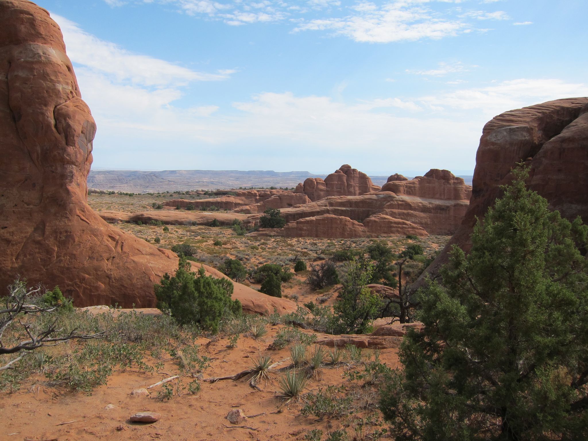 Photo 125 of 215 from the album Highlights Road Trip USA 2012.