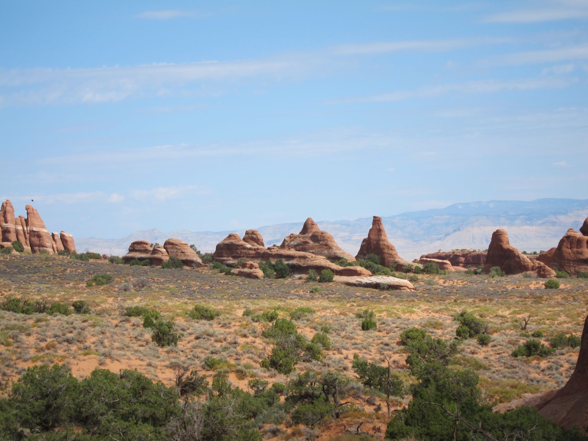 Photo 126 of 215 from the album Highlights Road Trip USA 2012.