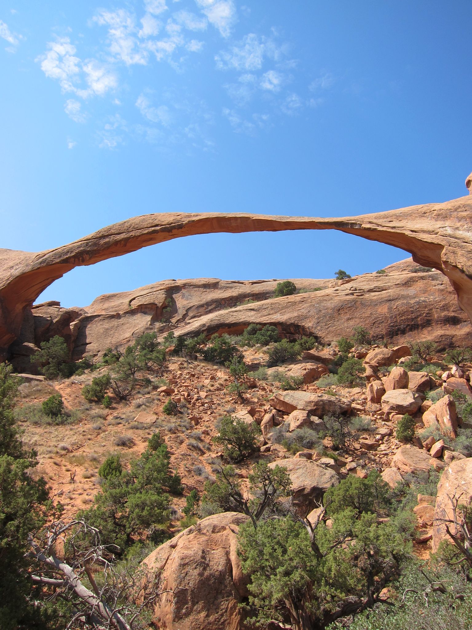 Photo 127 of 215 from the album Highlights Road Trip USA 2012.