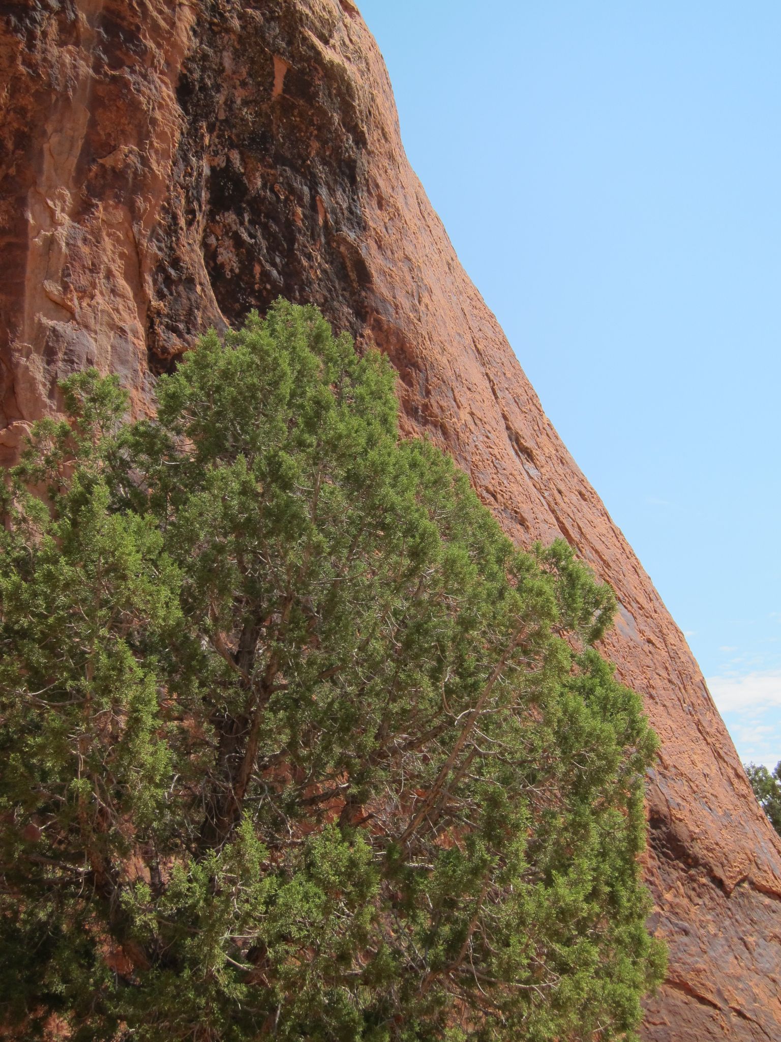 Photo 129 of 215 from the album Highlights Road Trip USA 2012.