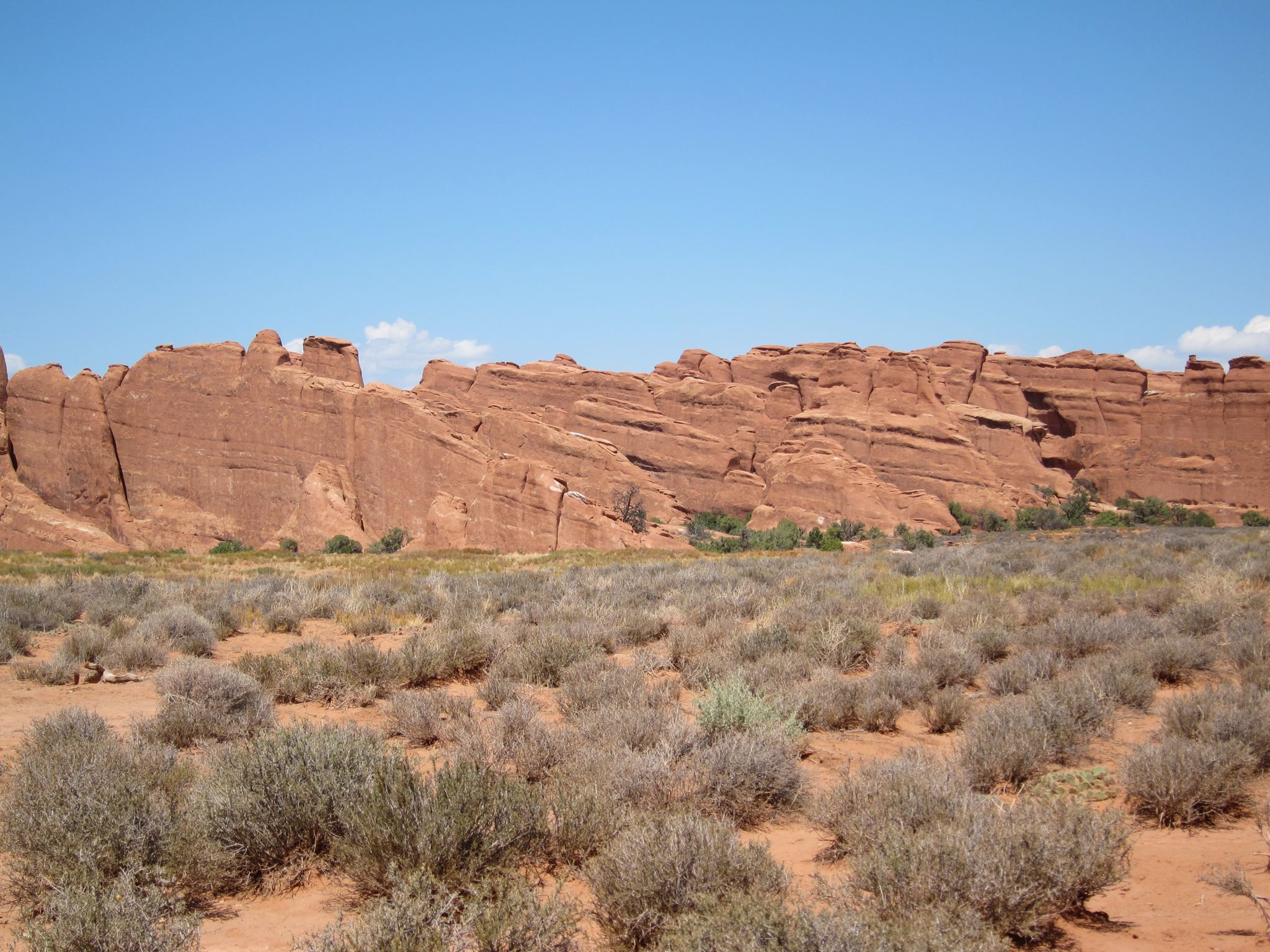 Photo 135 of 215 from the album Highlights Road Trip USA 2012.