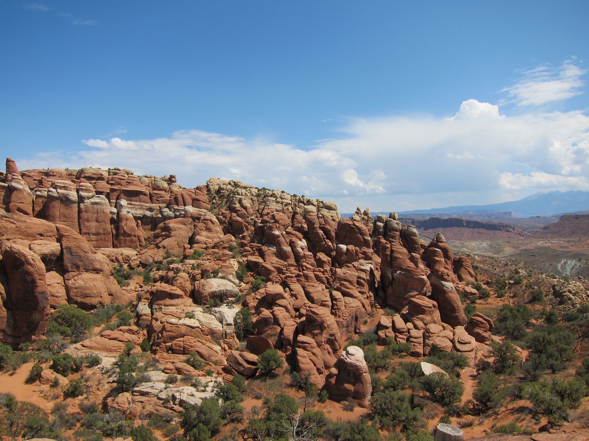 Photo 137 of 215 from the album Highlights Road Trip USA 2012.