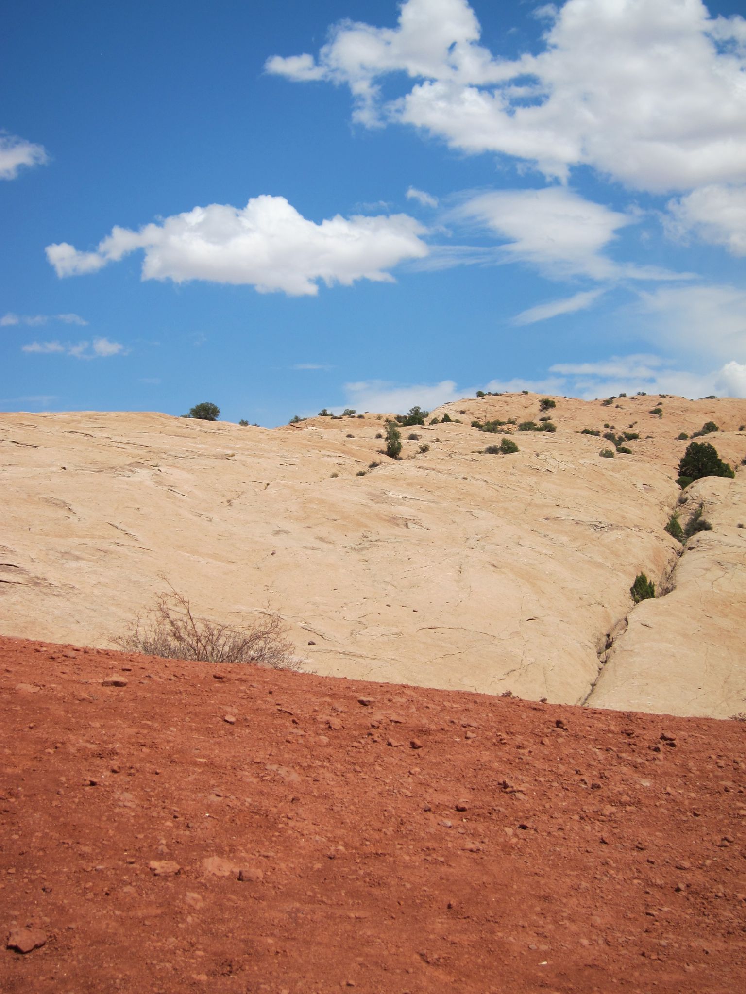 Photo 138 of 215 from the album Highlights Road Trip USA 2012.