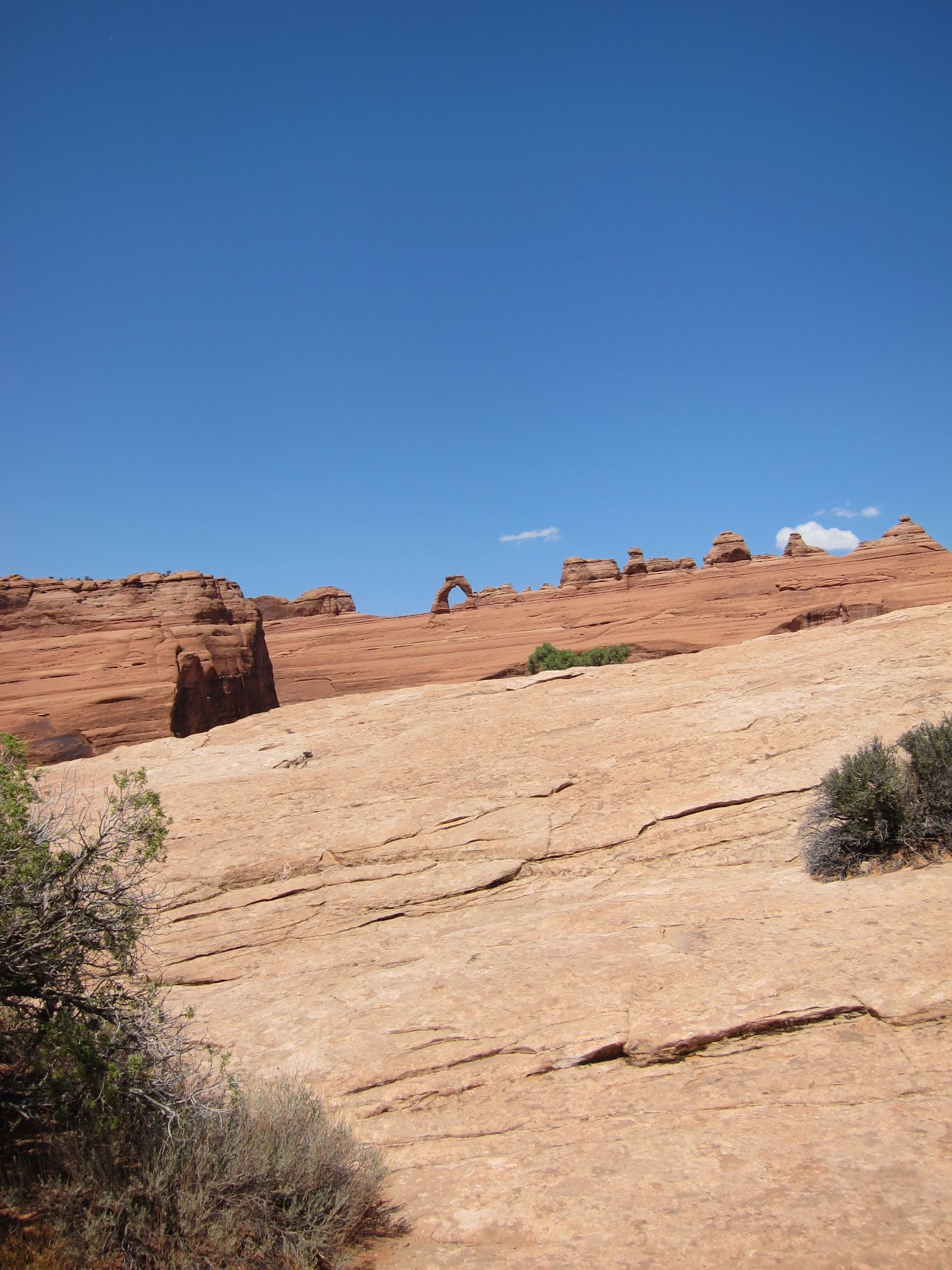 Photo 139 of 215 from the album Highlights Road Trip USA 2012.