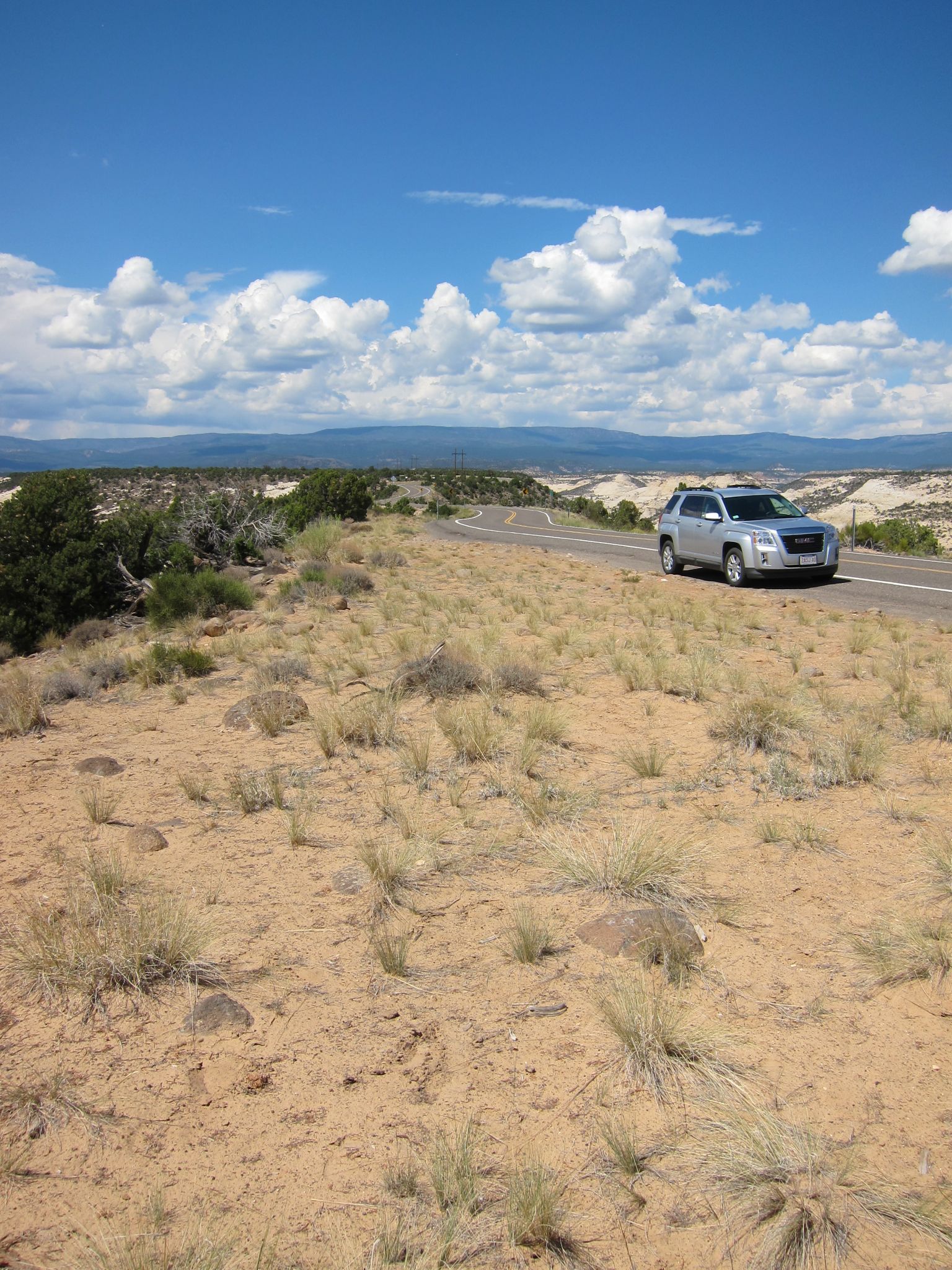 Photo 158 of 215 from the album Highlights Road Trip USA 2012.