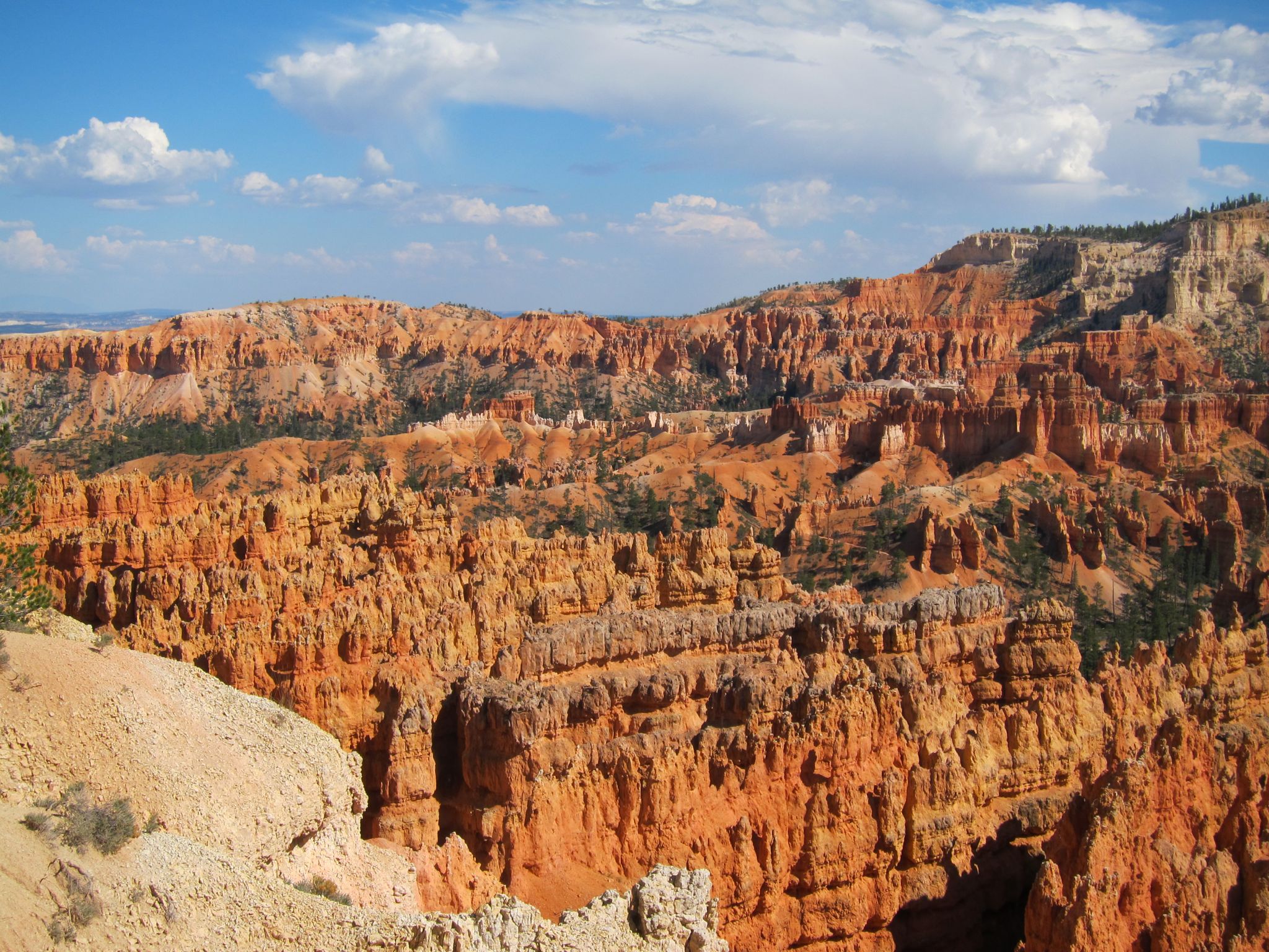 Photo 159 of 215 from the album Highlights Road Trip USA 2012.