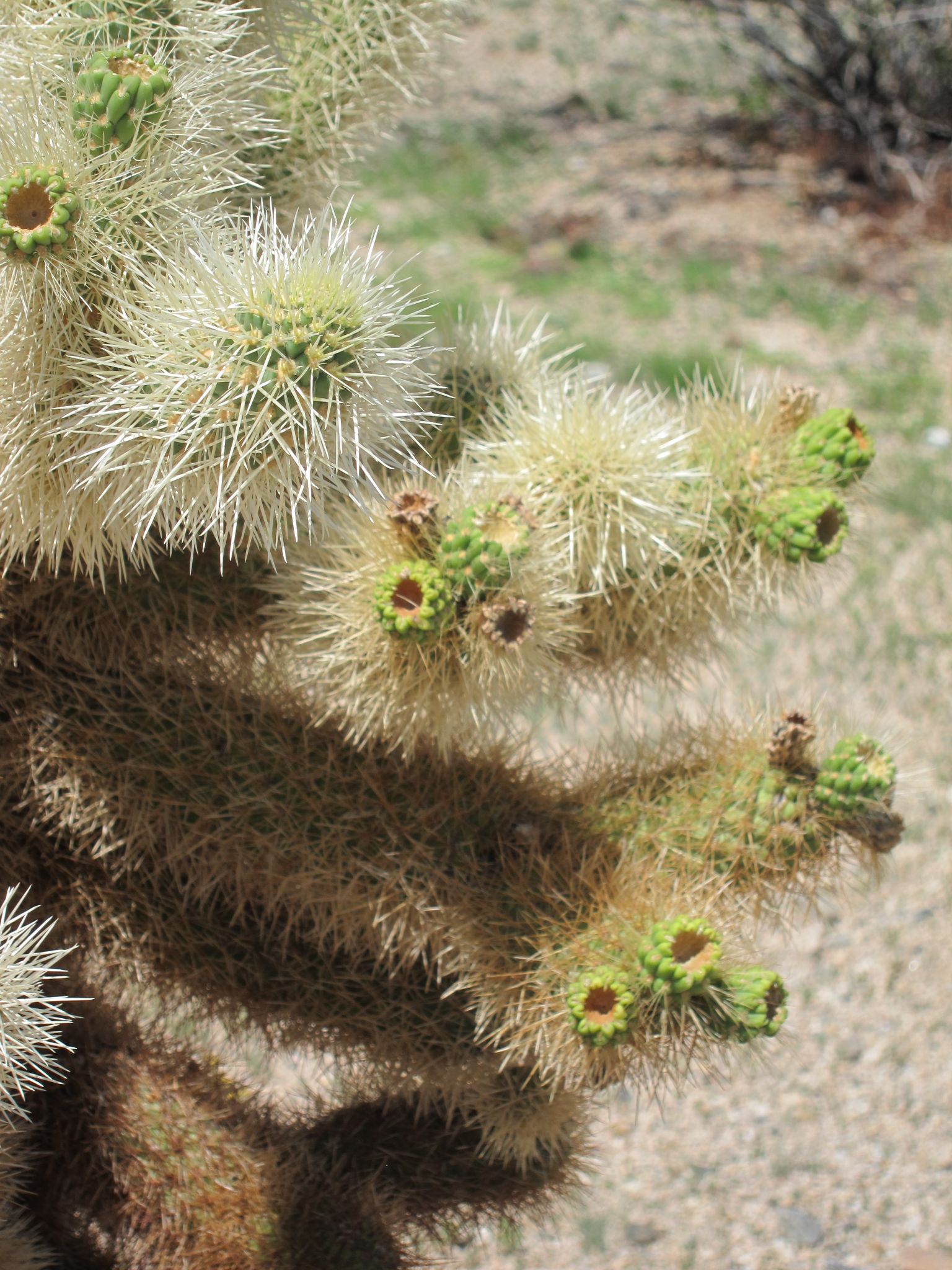 Photo 16 of 215 from the album Highlights Road Trip USA 2012.