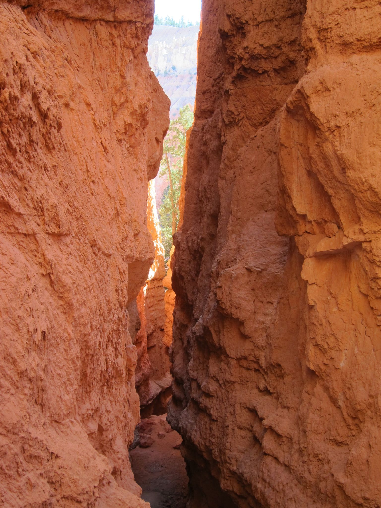 Photo 163 of 215 from the album Highlights Road Trip USA 2012.