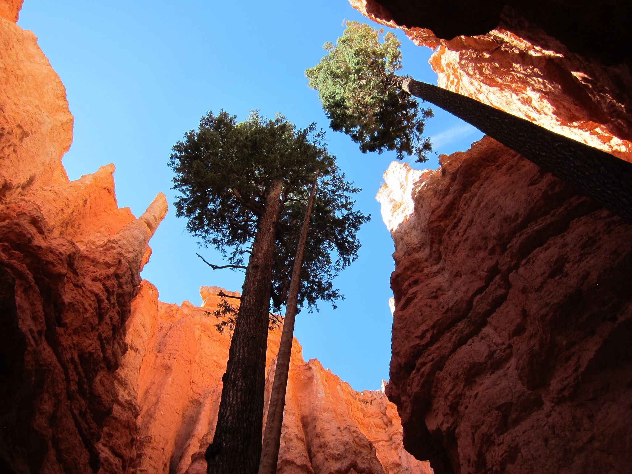 Photo 165 of 215 from the album Highlights Road Trip USA 2012.