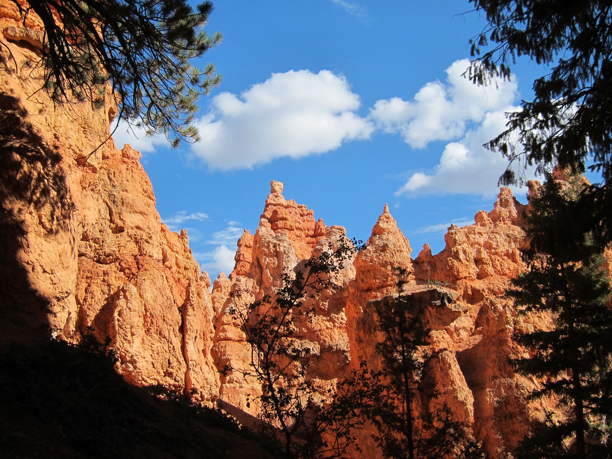 Photo 167 of 215 from the album Highlights Road Trip USA 2012.