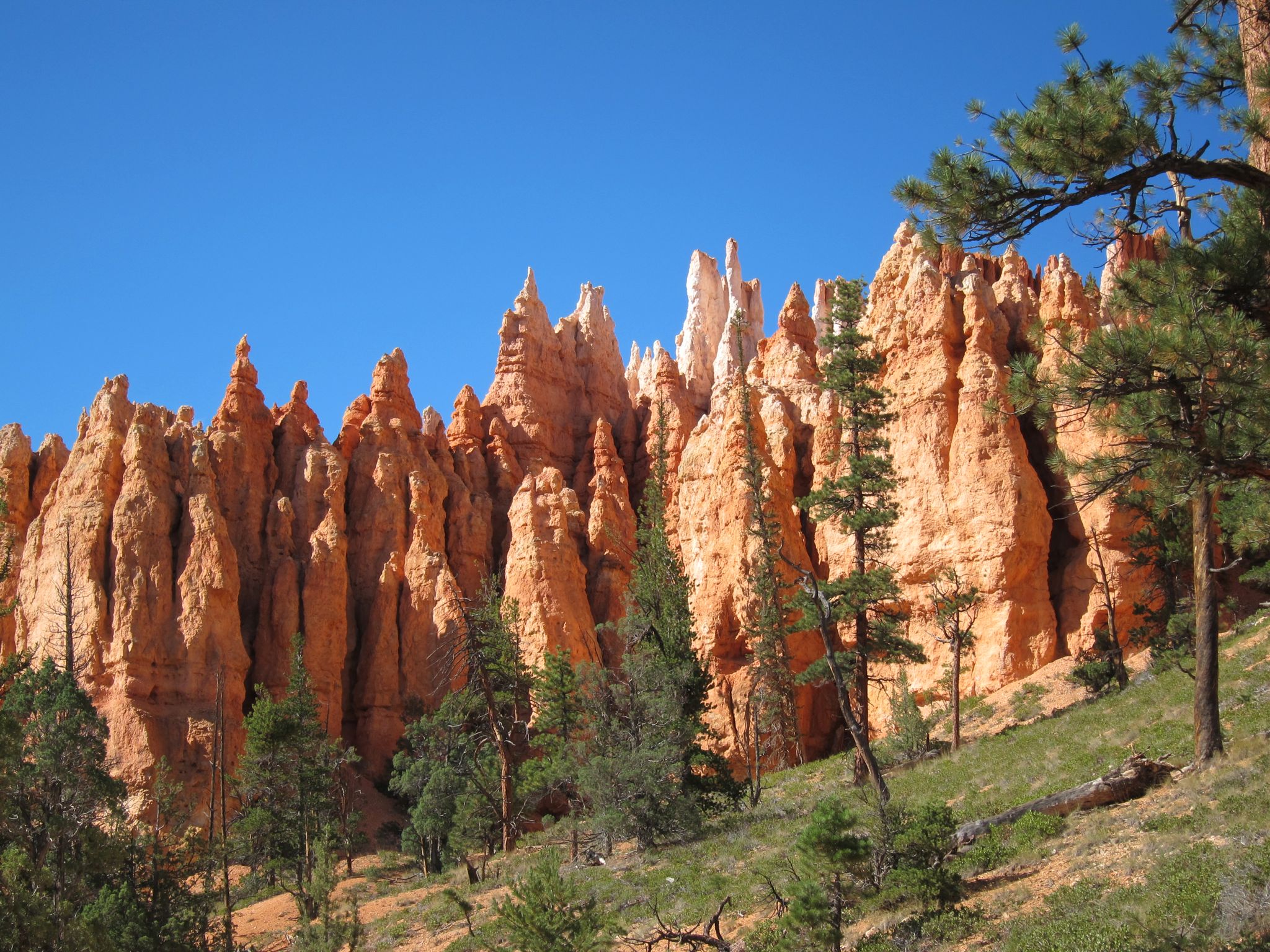 Photo 169 of 215 from the album Highlights Road Trip USA 2012.