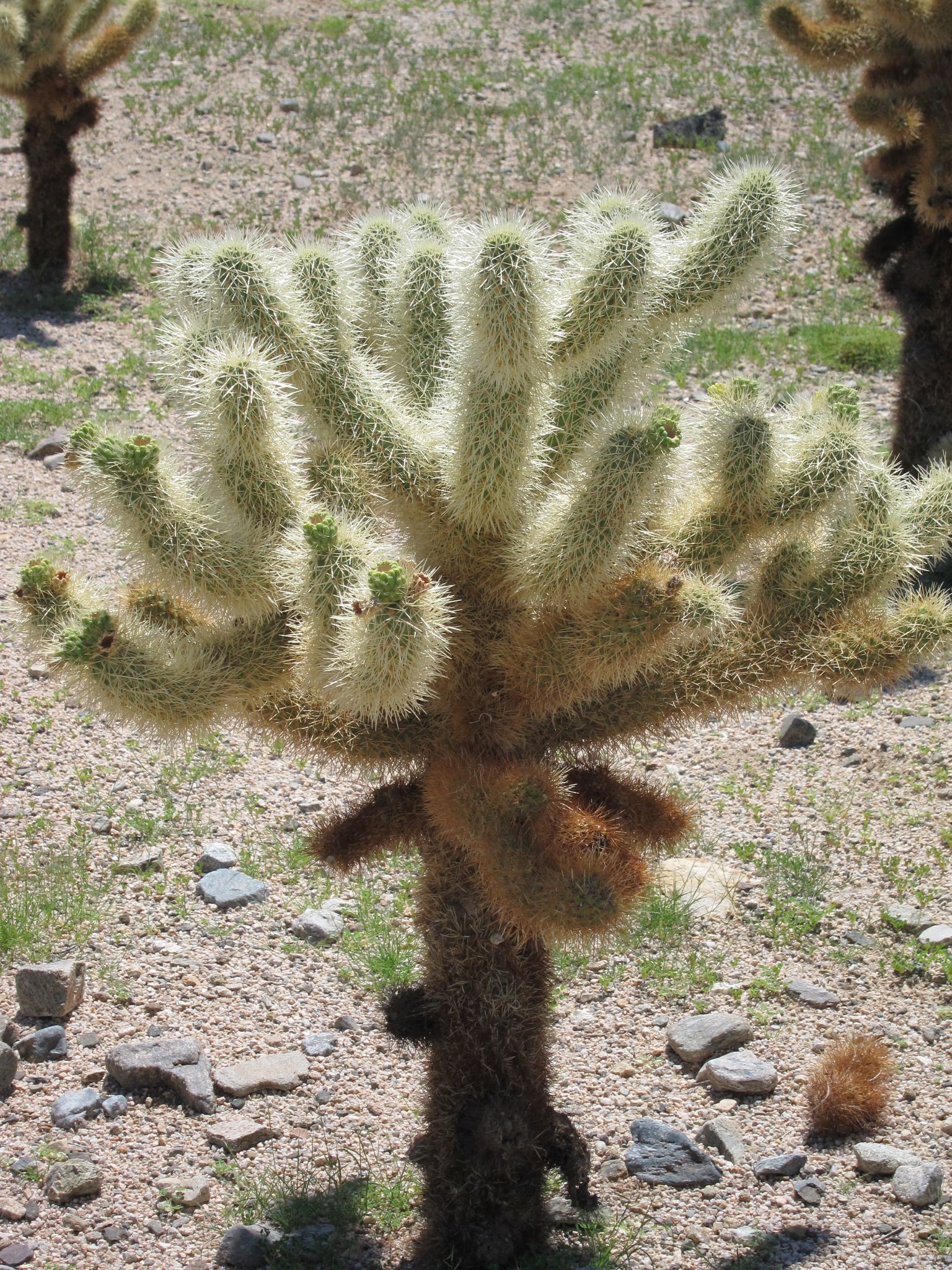 Photo 17 of 215 from the album Highlights Road Trip USA 2012.