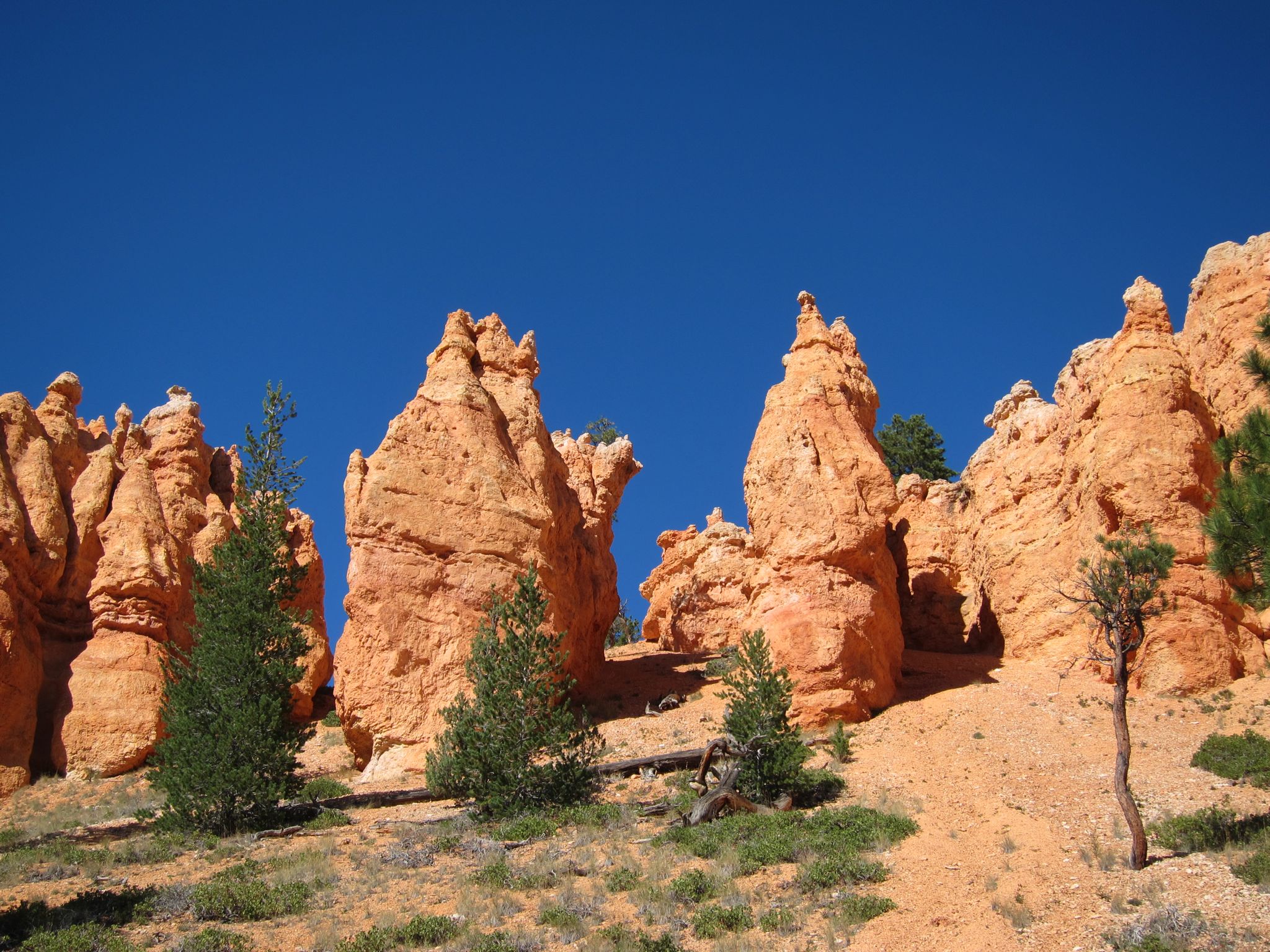 Photo 170 of 215 from the album Highlights Road Trip USA 2012.