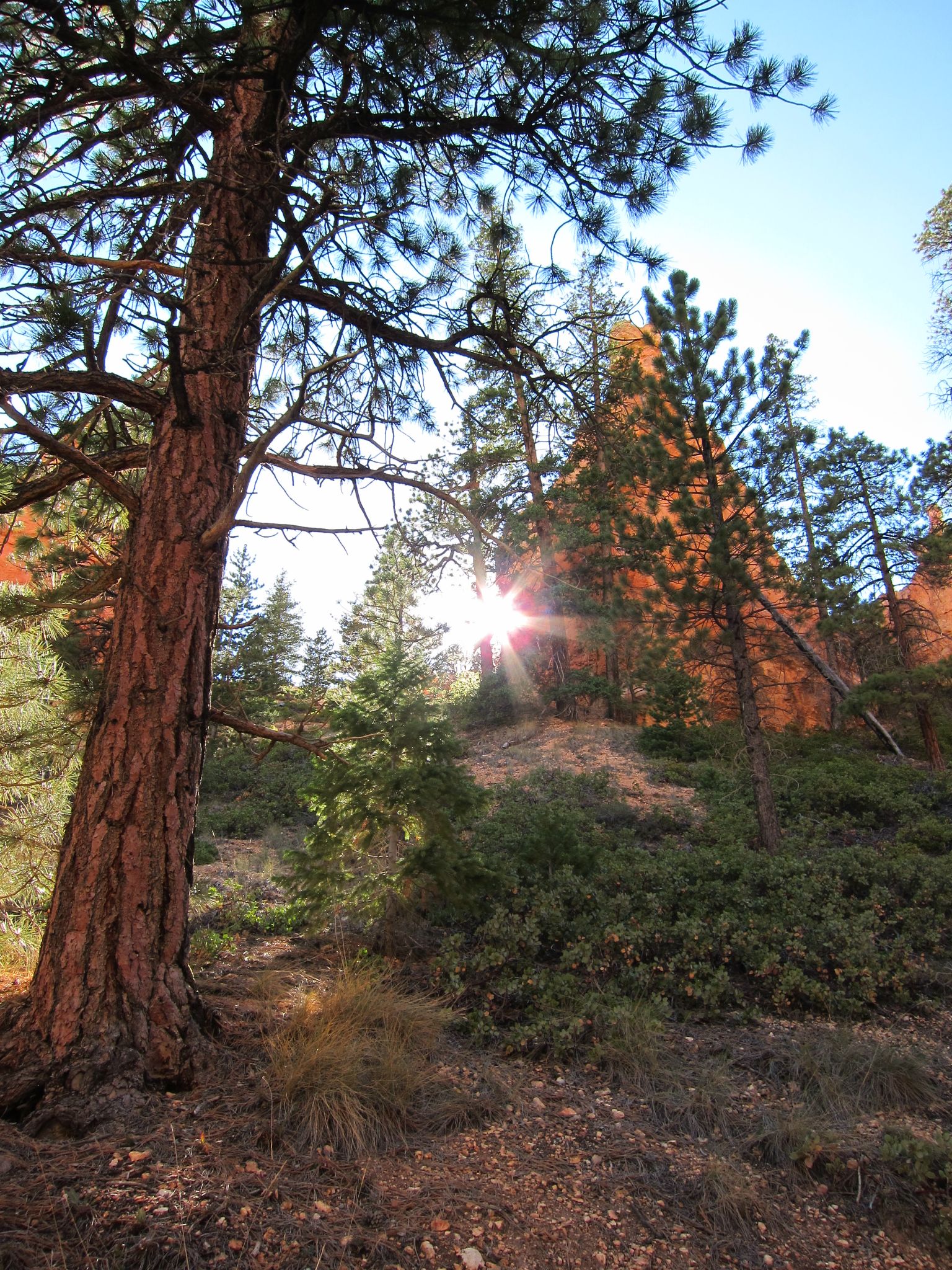 Photo 171 of 215 from the album Highlights Road Trip USA 2012.