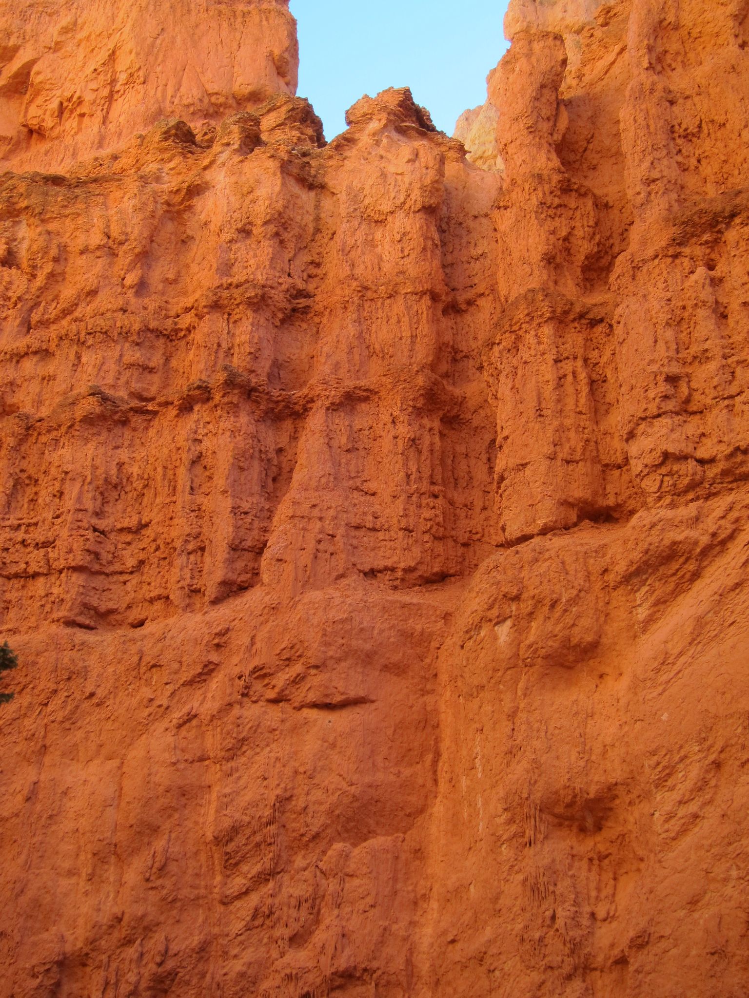 Photo 173 of 215 from the album Highlights Road Trip USA 2012.