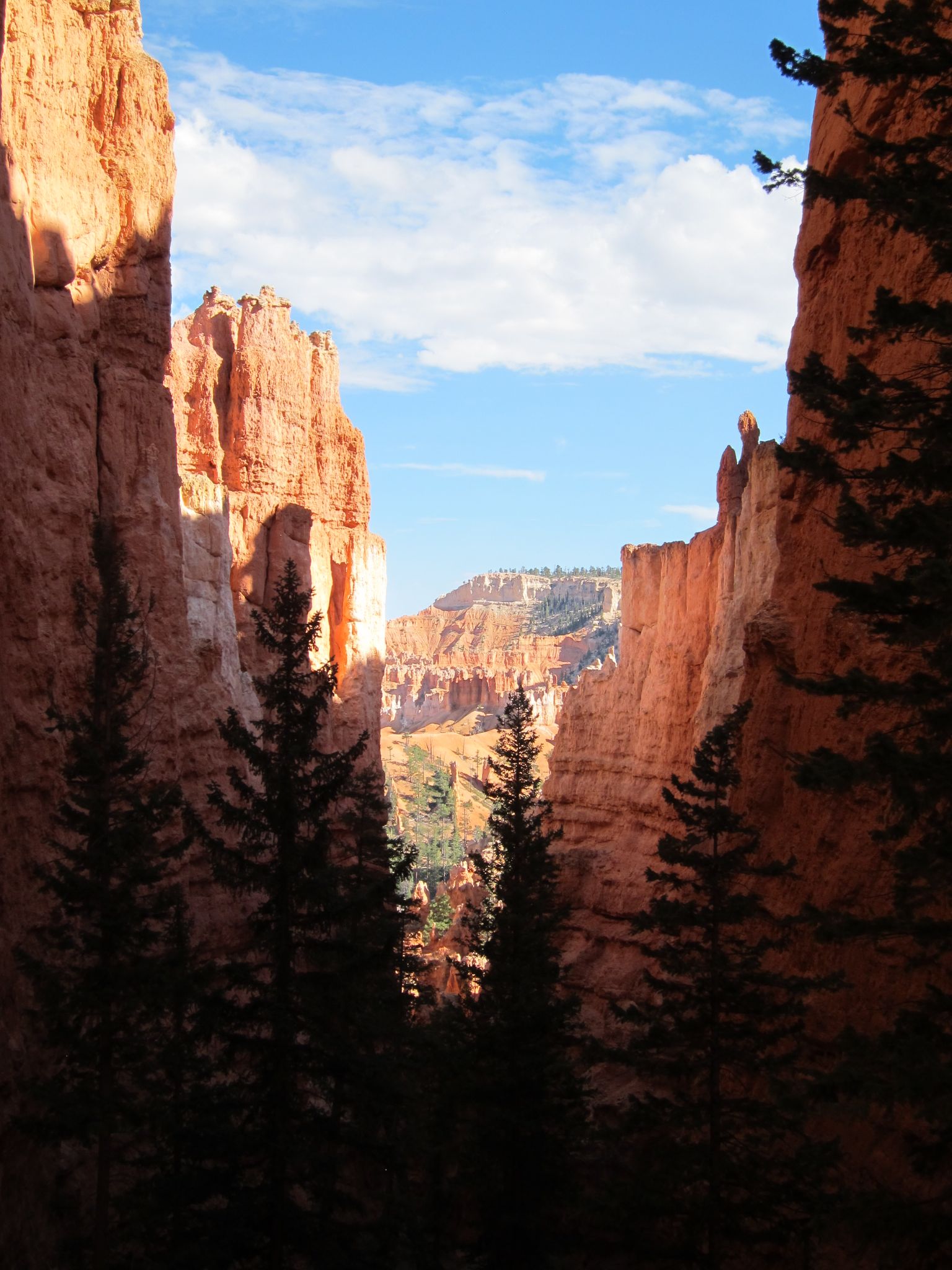 Photo 174 of 215 from the album Highlights Road Trip USA 2012.