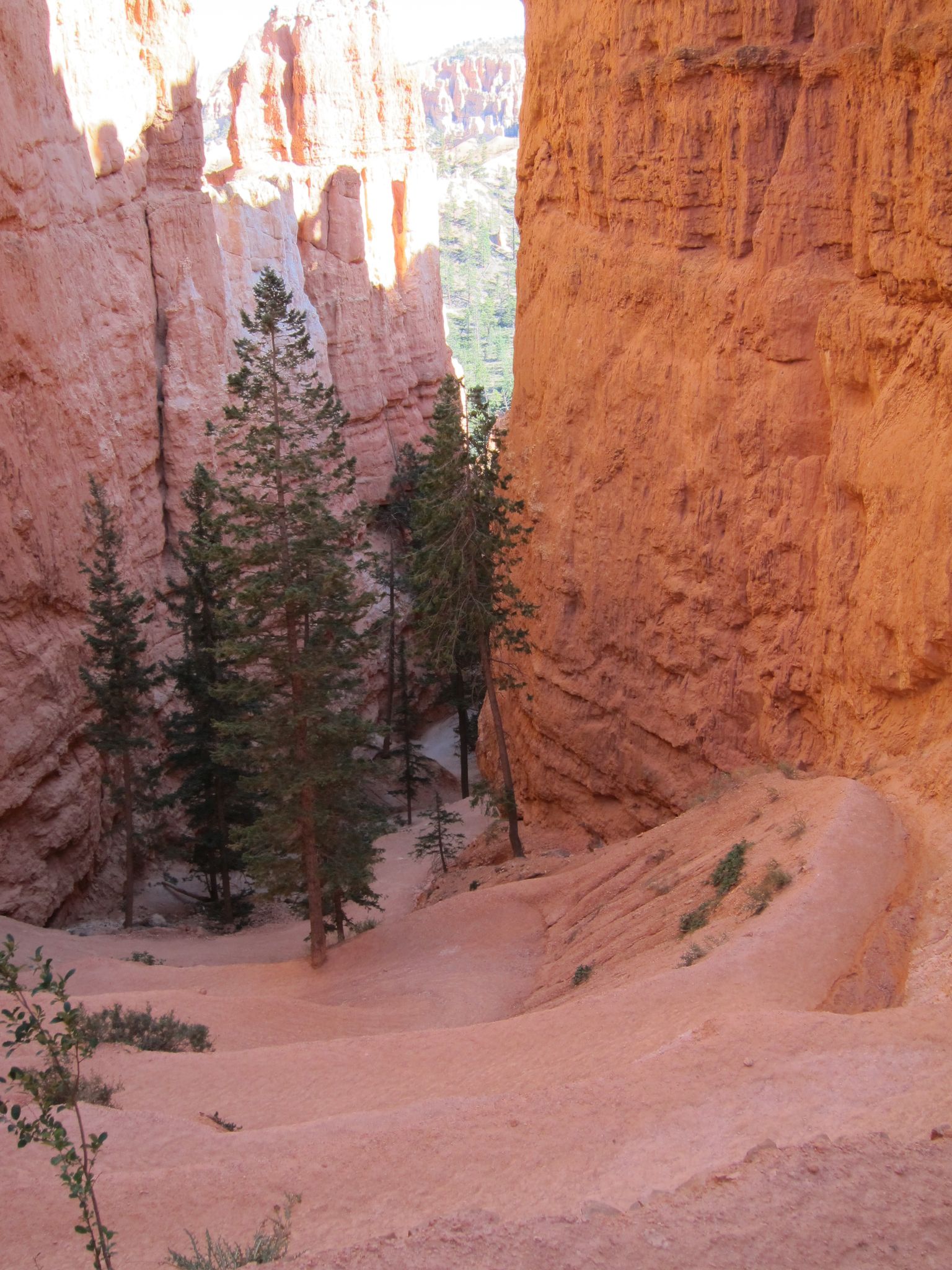 Photo 177 of 215 from the album Highlights Road Trip USA 2012.