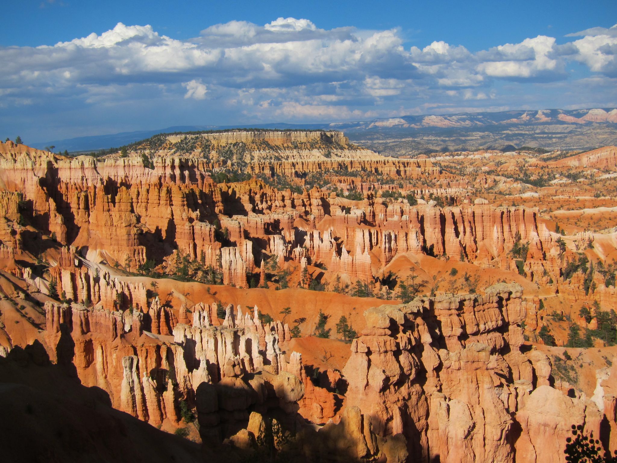 Photo 178 of 215 from the album Highlights Road Trip USA 2012.