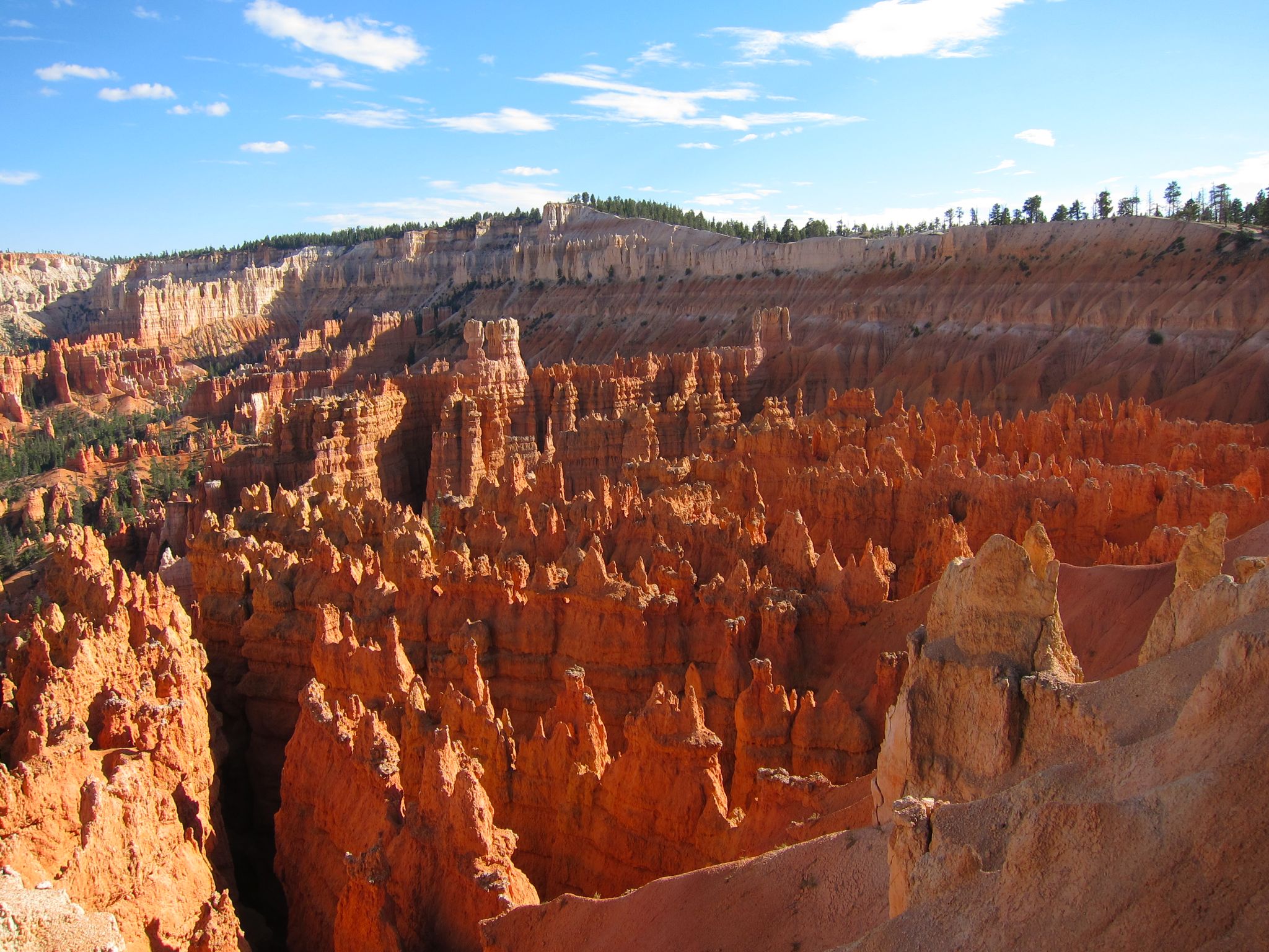 Photo 179 of 215 from the album Highlights Road Trip USA 2012.