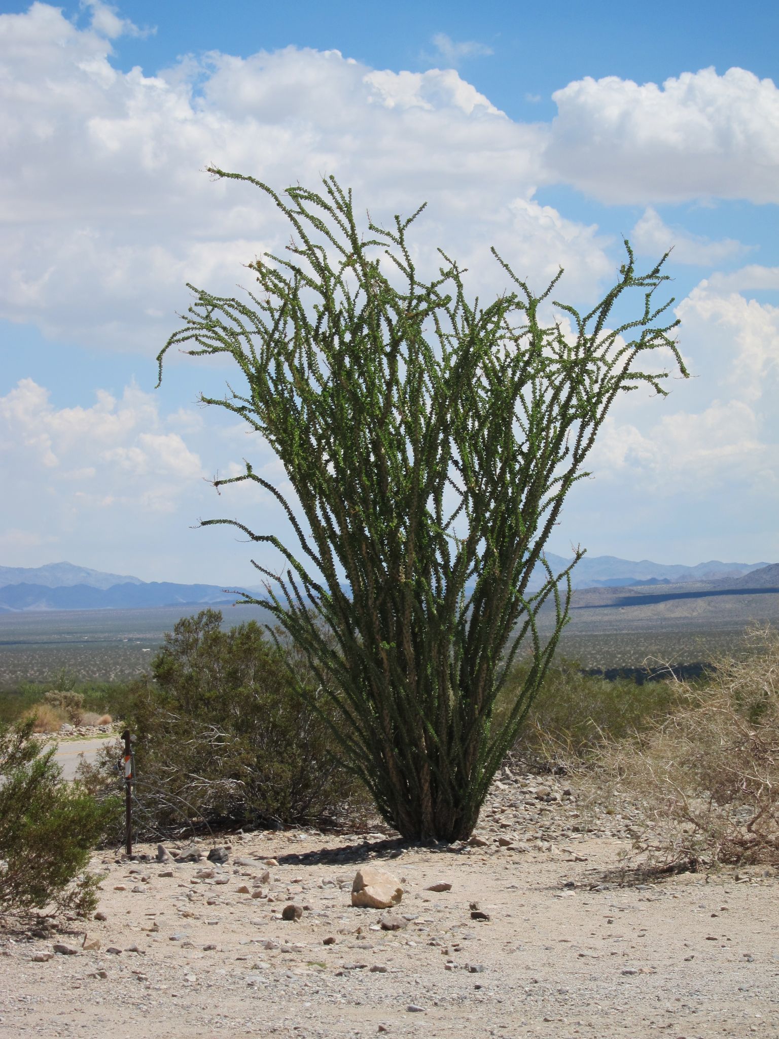 Photo 18 of 215 from the album Highlights Road Trip USA 2012.