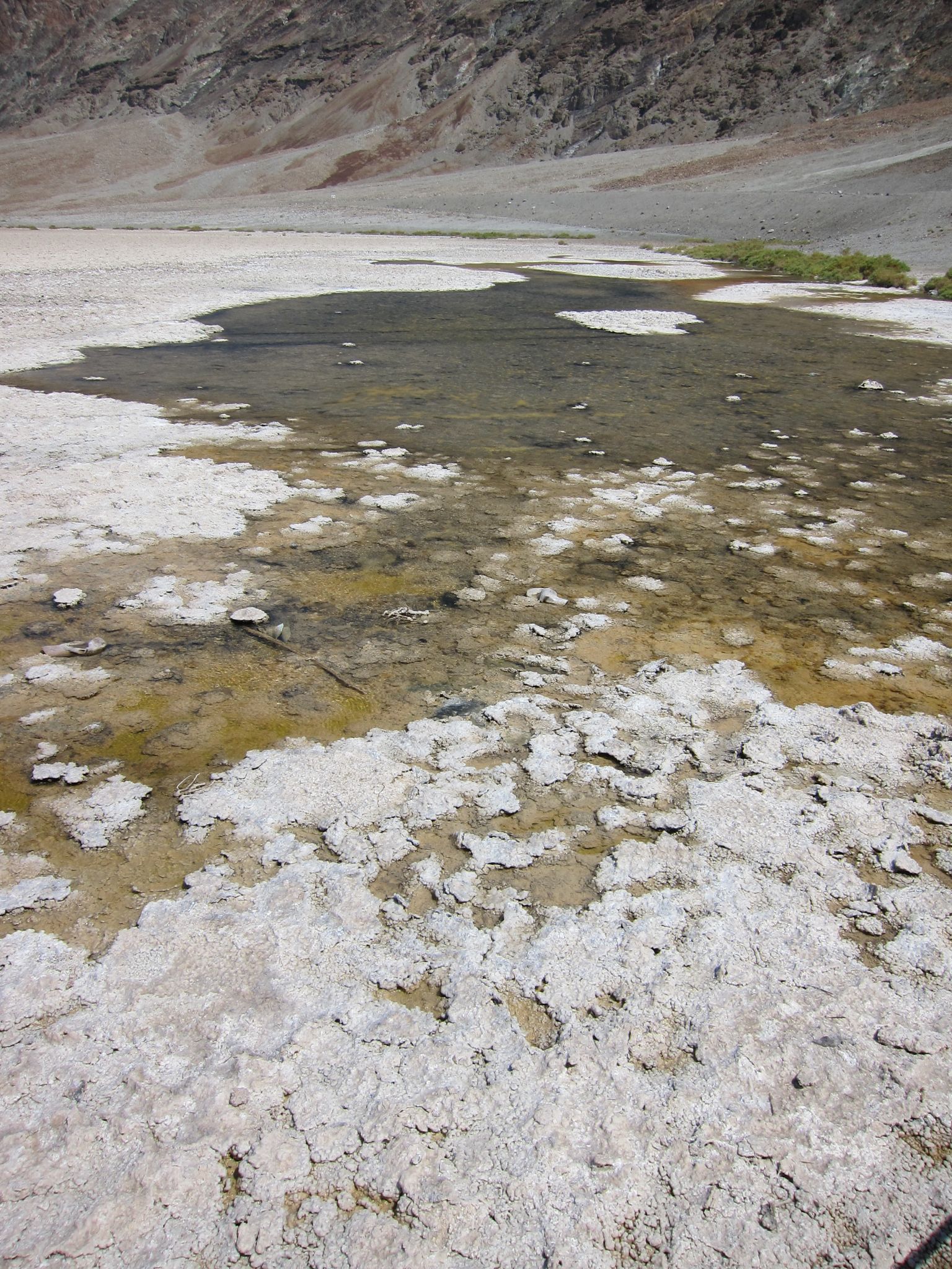 Photo 186 of 215 from the album Highlights Road Trip USA 2012.