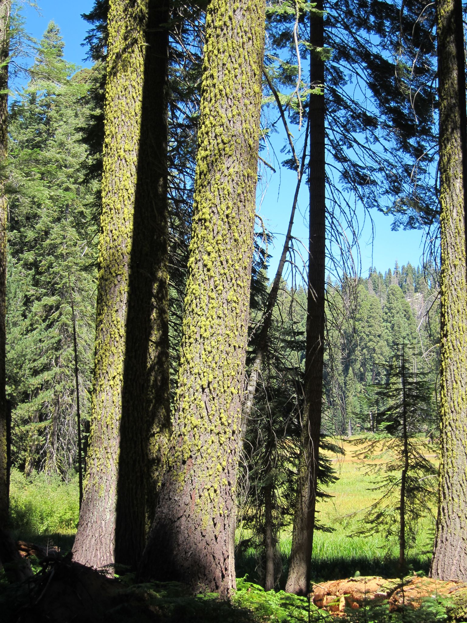 Photo 192 of 215 from the album Highlights Road Trip USA 2012.