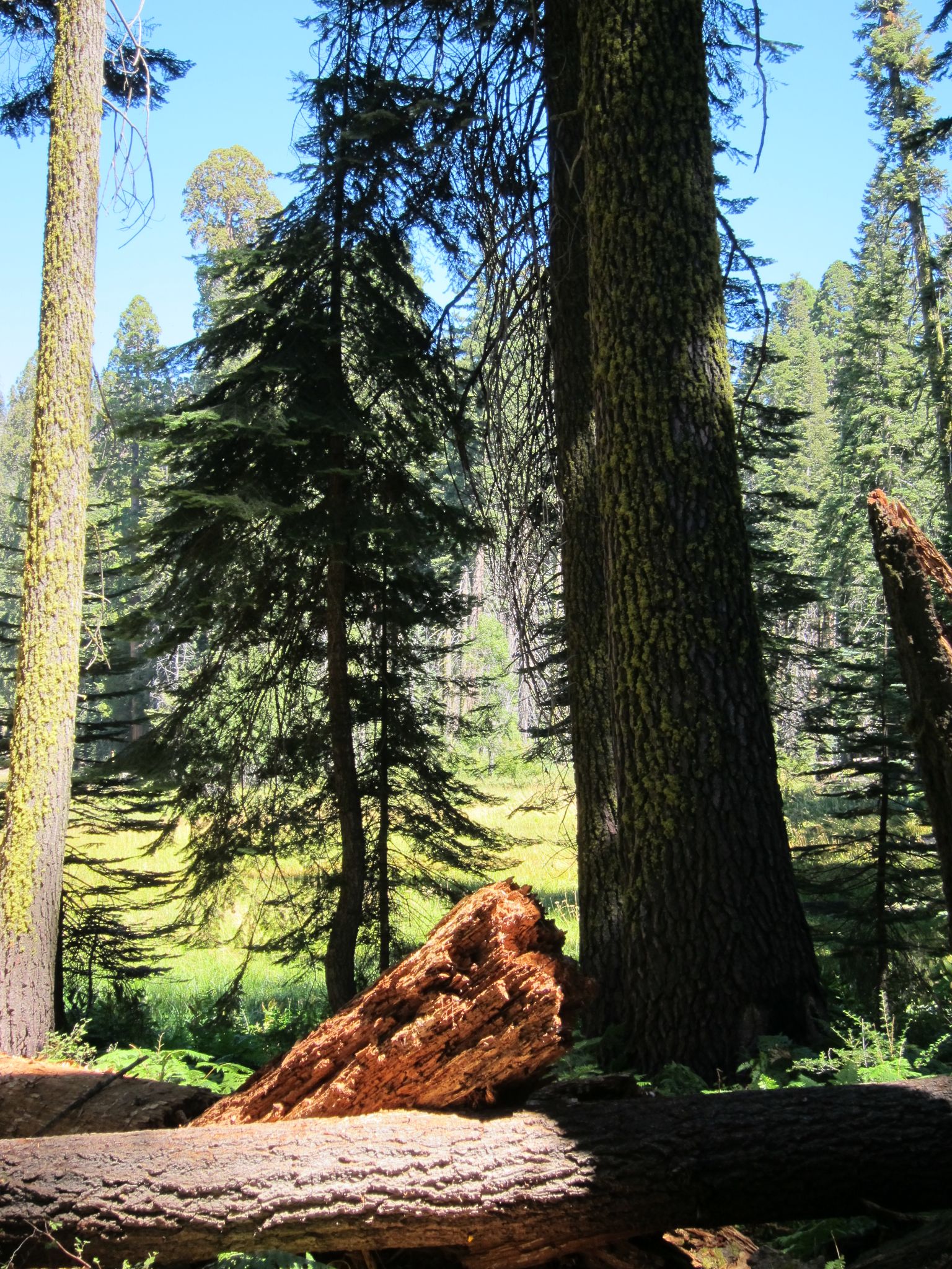 Photo 193 of 215 from the album Highlights Road Trip USA 2012.