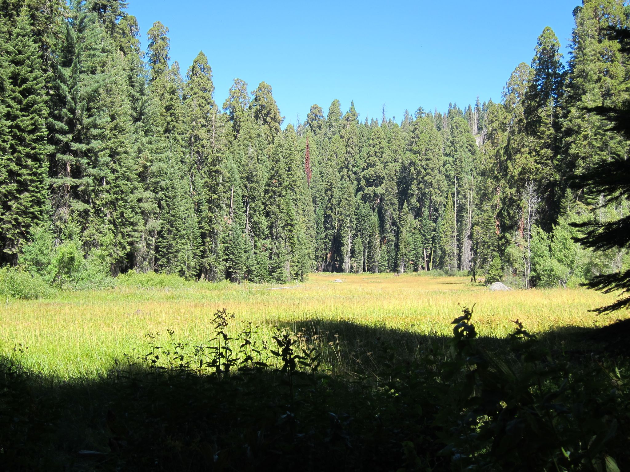 Photo 194 of 215 from the album Highlights Road Trip USA 2012.