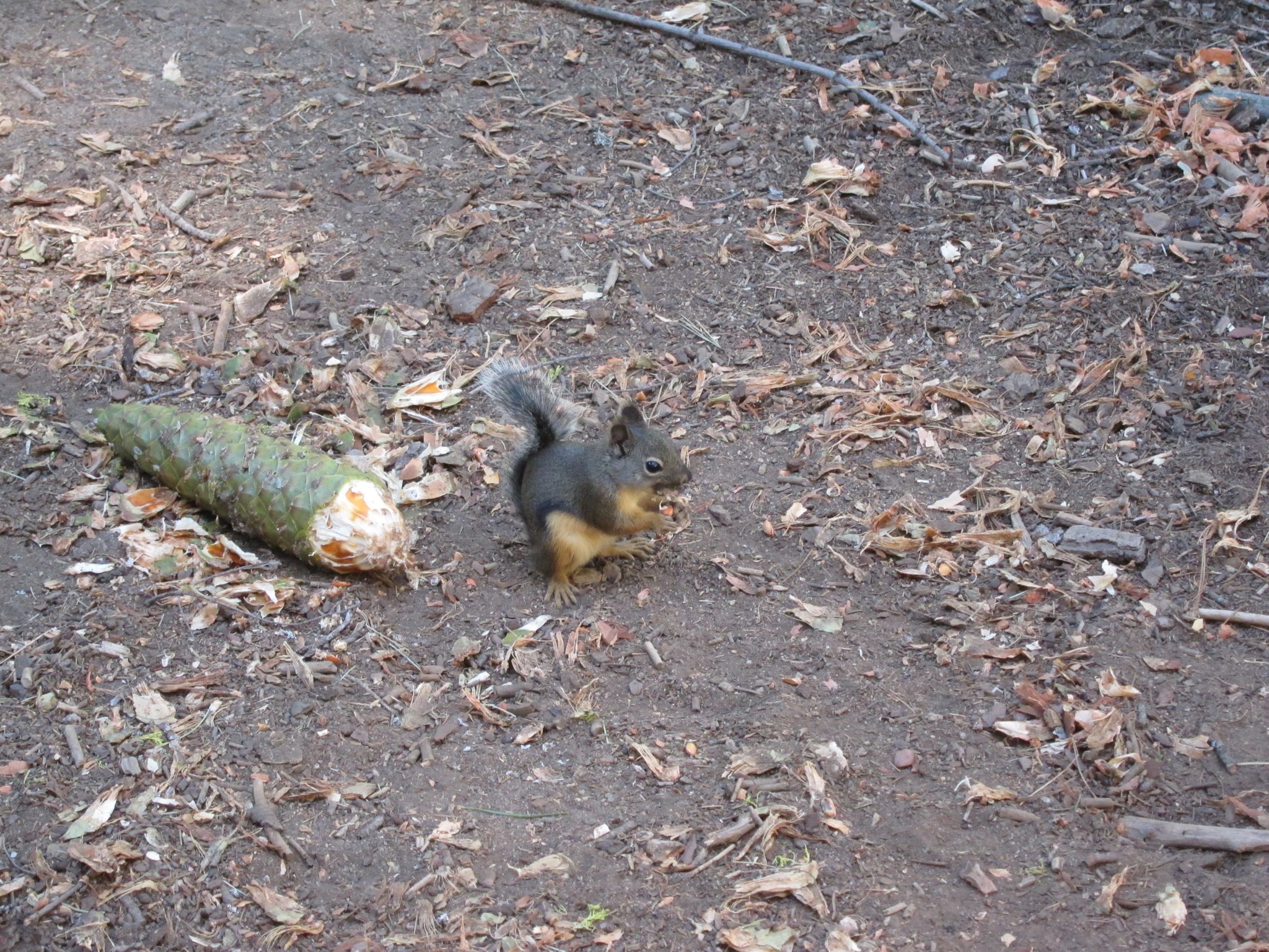 Photo 197 of 215 from the album Highlights Road Trip USA 2012.