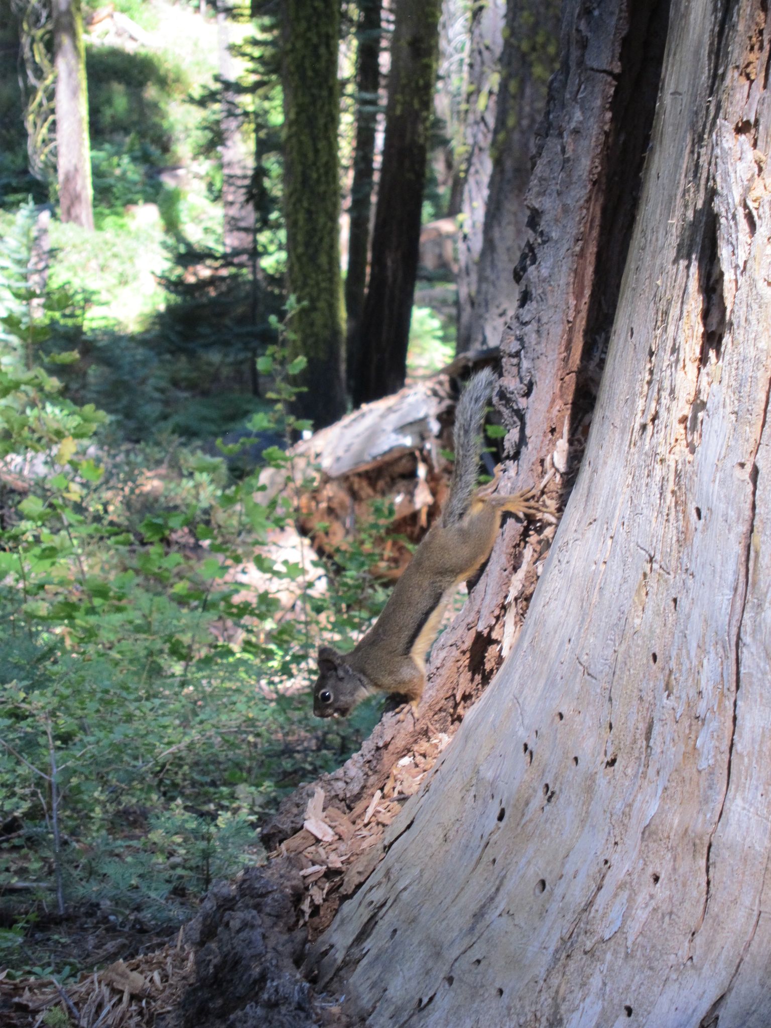 Photo 199 of 215 from the album Highlights Road Trip USA 2012.