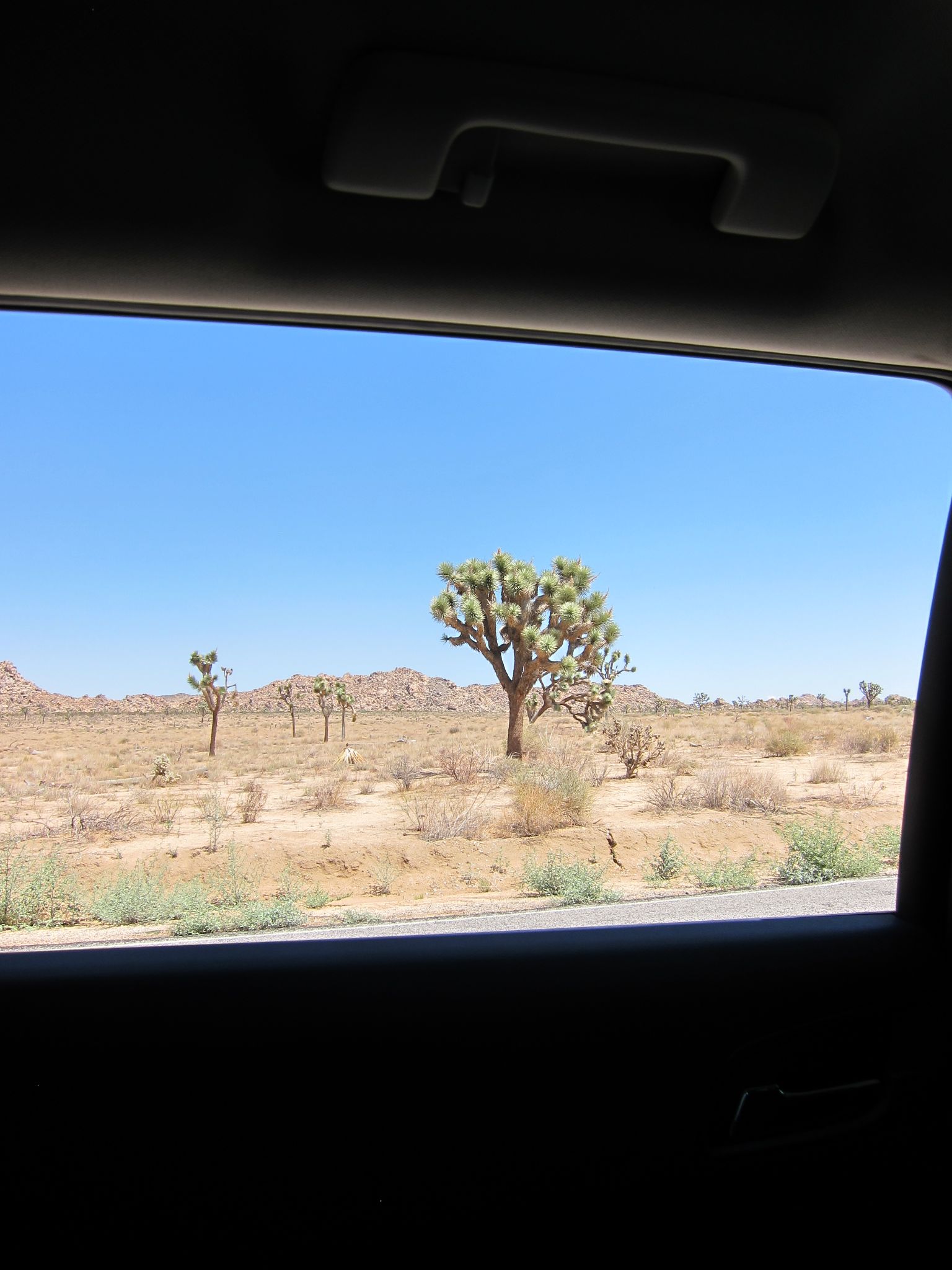 Photo 2 of 215 from the album Highlights Road Trip USA 2012.