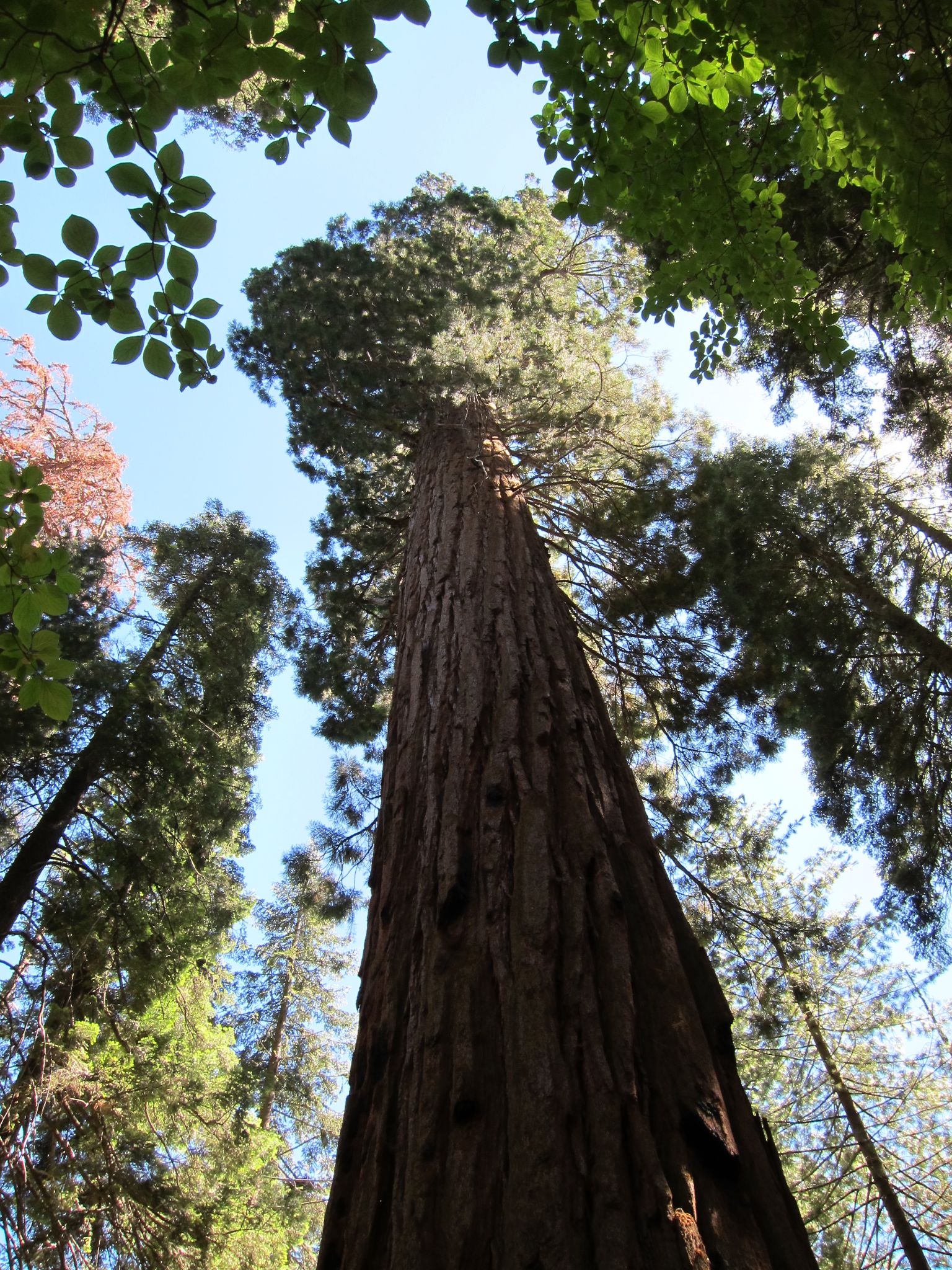 Photo 202 of 215 from the album Highlights Road Trip USA 2012.