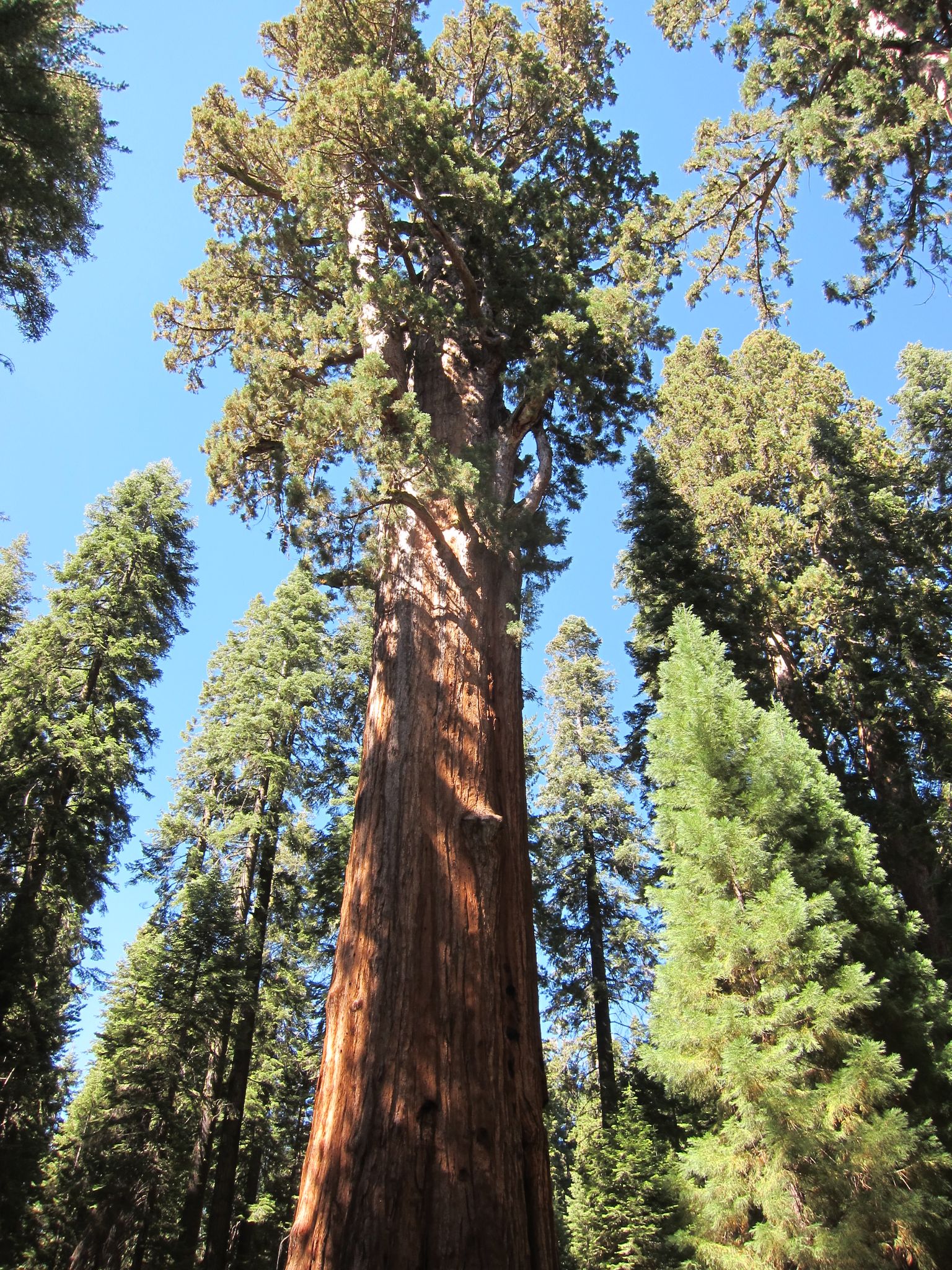 Photo 204 of 215 from the album Highlights Road Trip USA 2012.