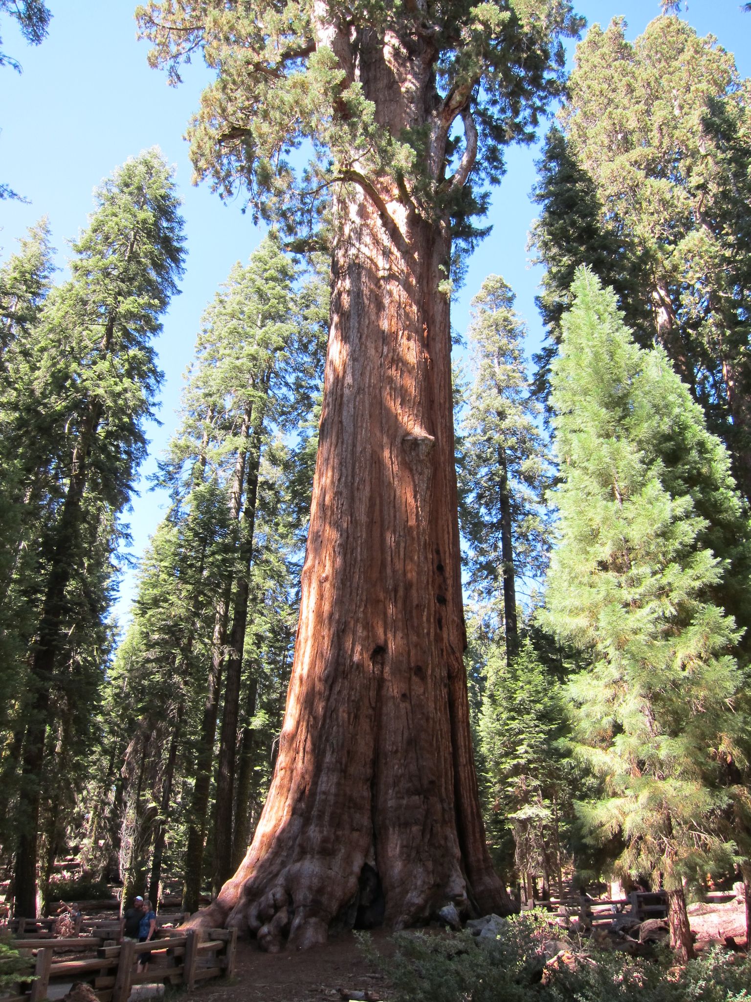 Photo 205 of 215 from the album Highlights Road Trip USA 2012.