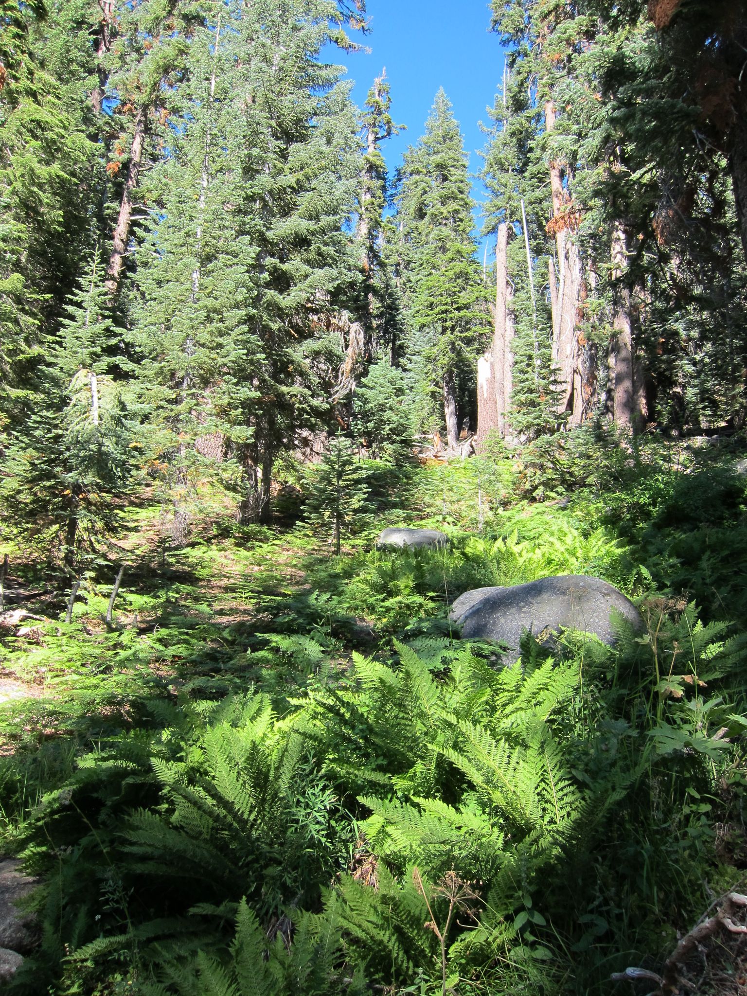 Photo 206 of 215 from the album Highlights Road Trip USA 2012.