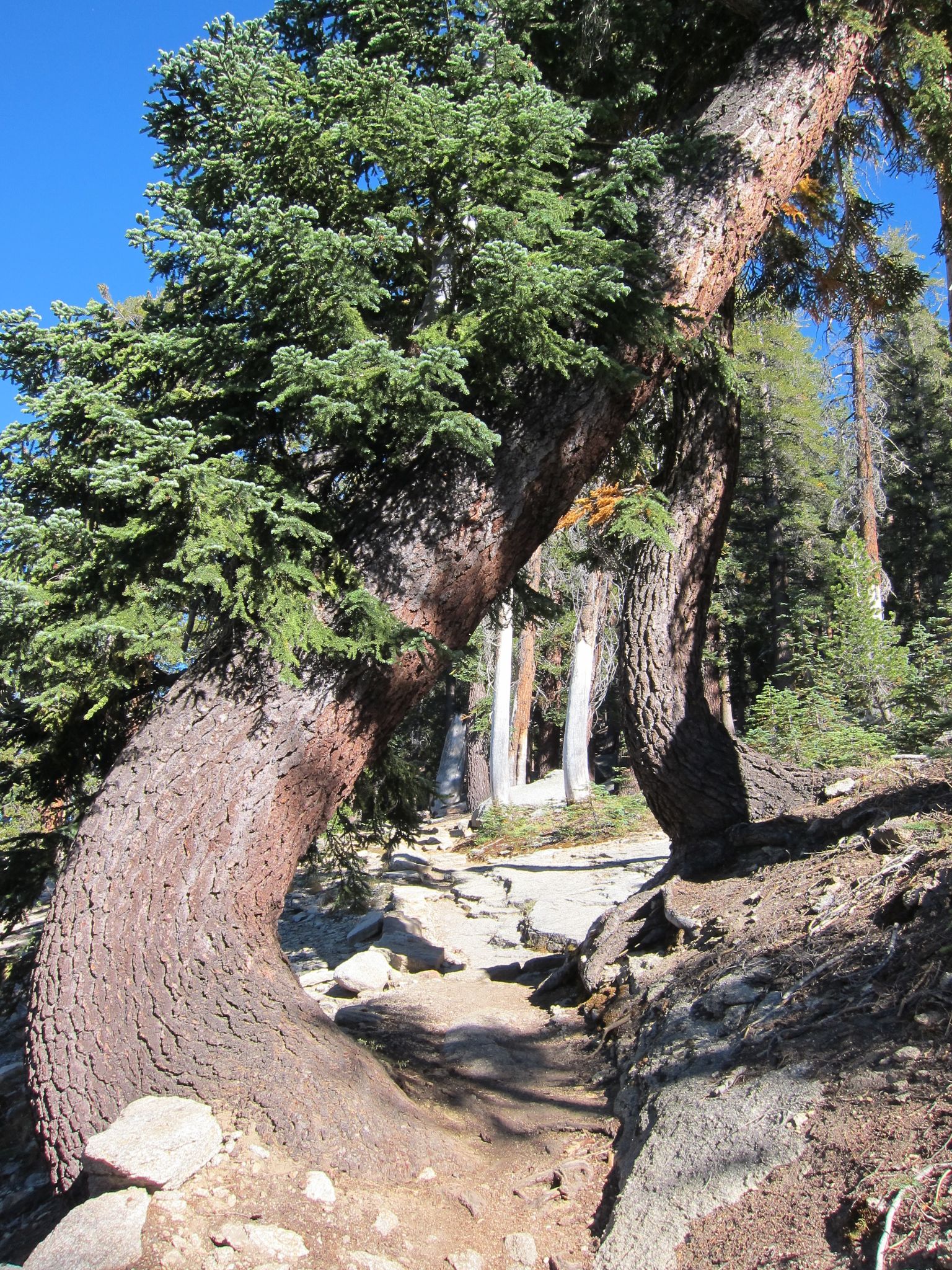 Photo 209 of 215 from the album Highlights Road Trip USA 2012.