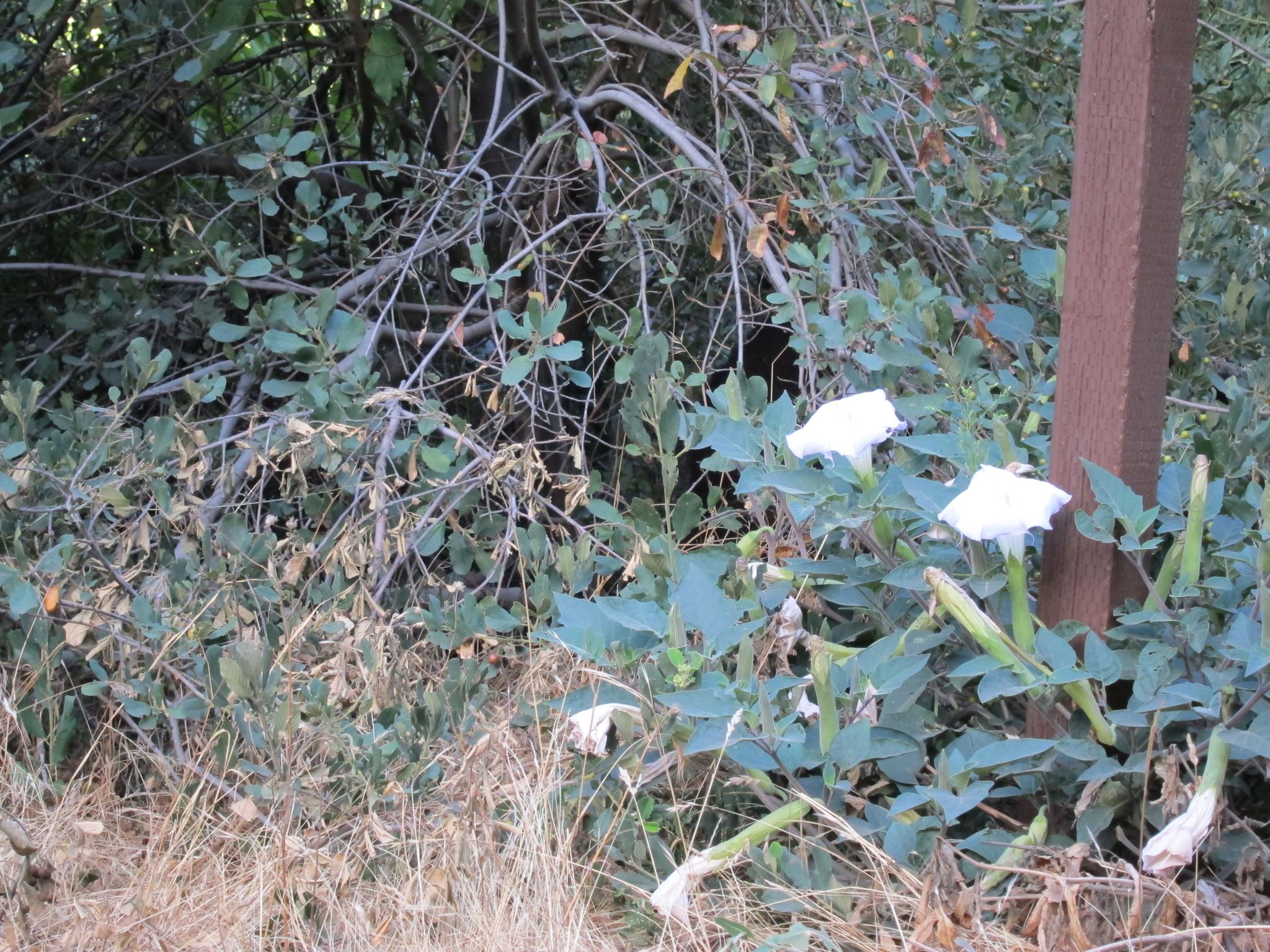 Photo 213 of 215 from the album Highlights Road Trip USA 2012.