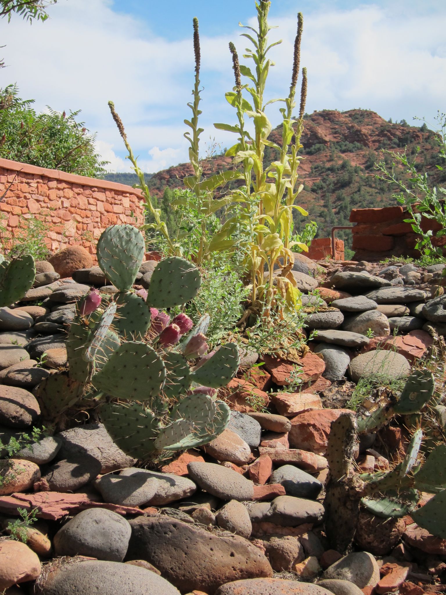 Photo 28 of 215 from the album Highlights Road Trip USA 2012.