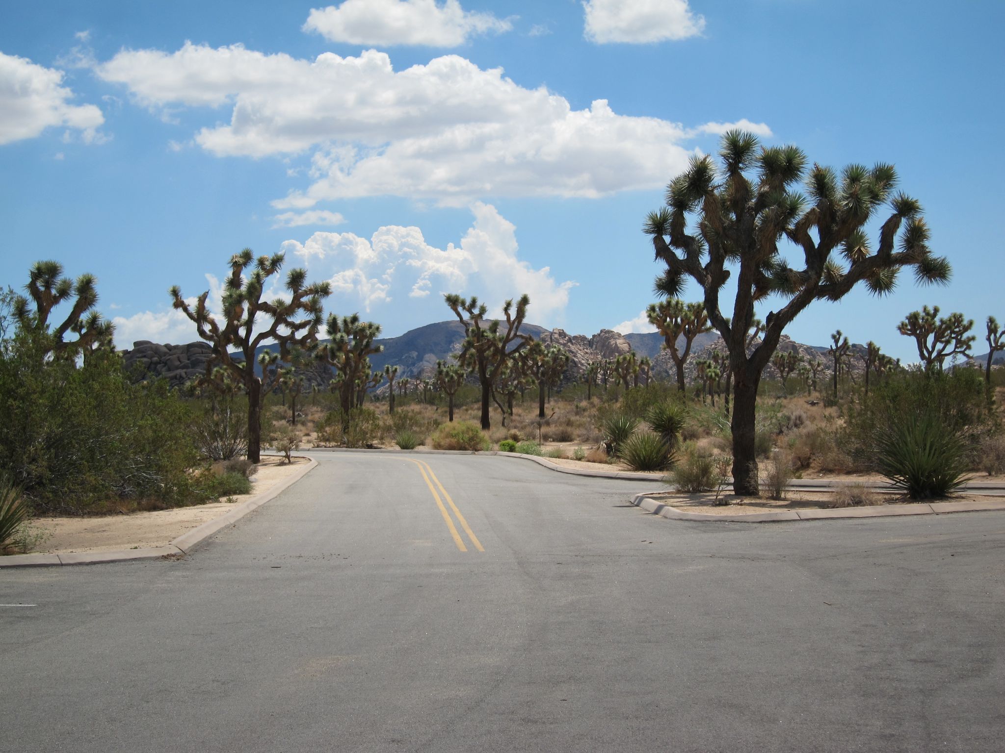 Photo 3 of 215 from the album Highlights Road Trip USA 2012.