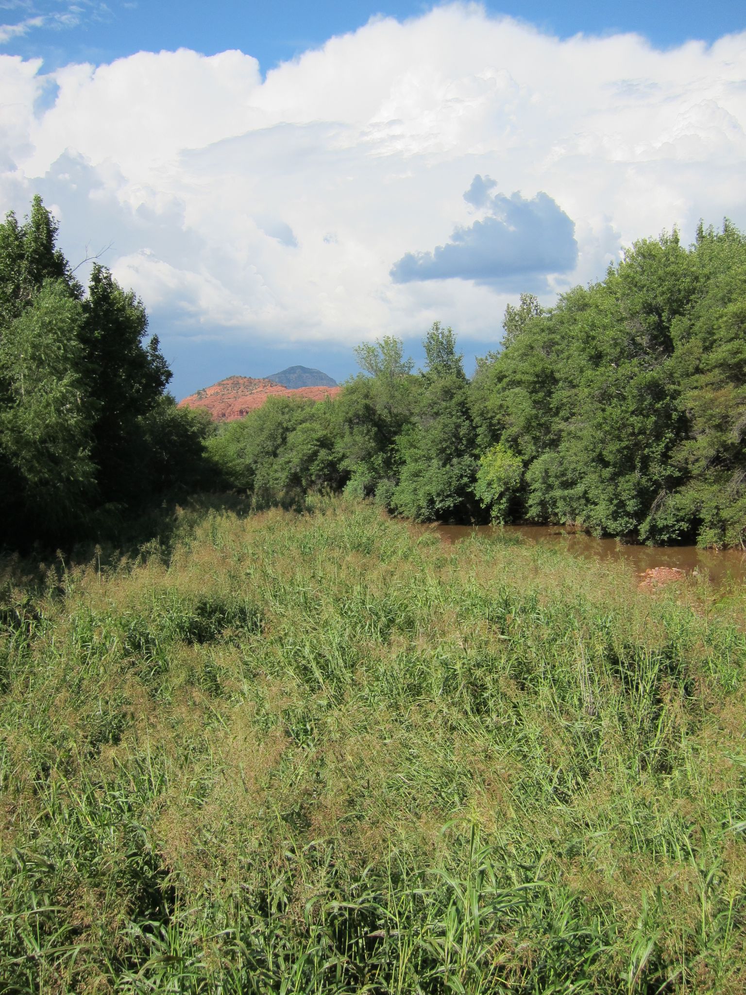 Photo 32 of 215 from the album Highlights Road Trip USA 2012.