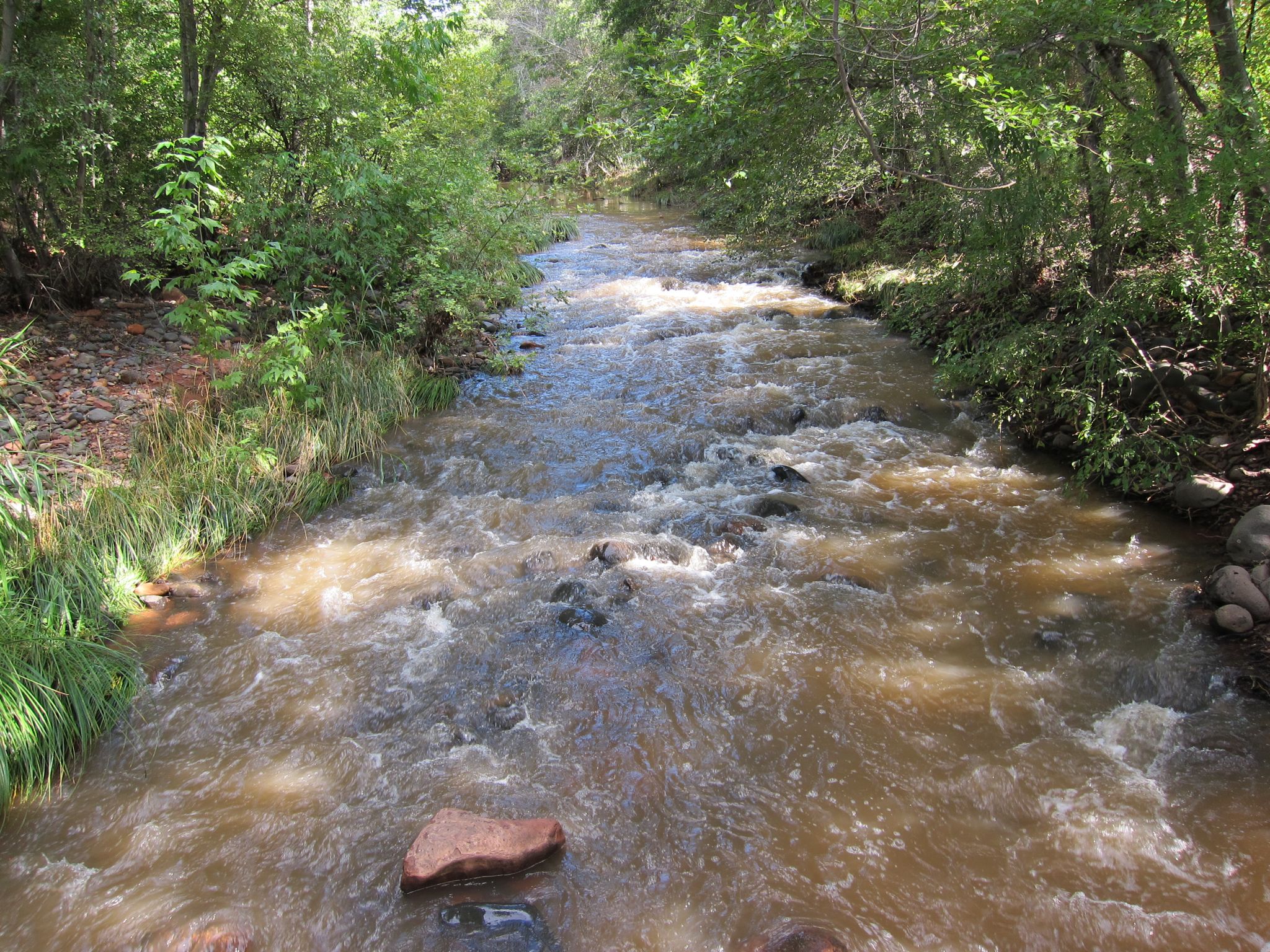 Photo 33 of 215 from the album Highlights Road Trip USA 2012.