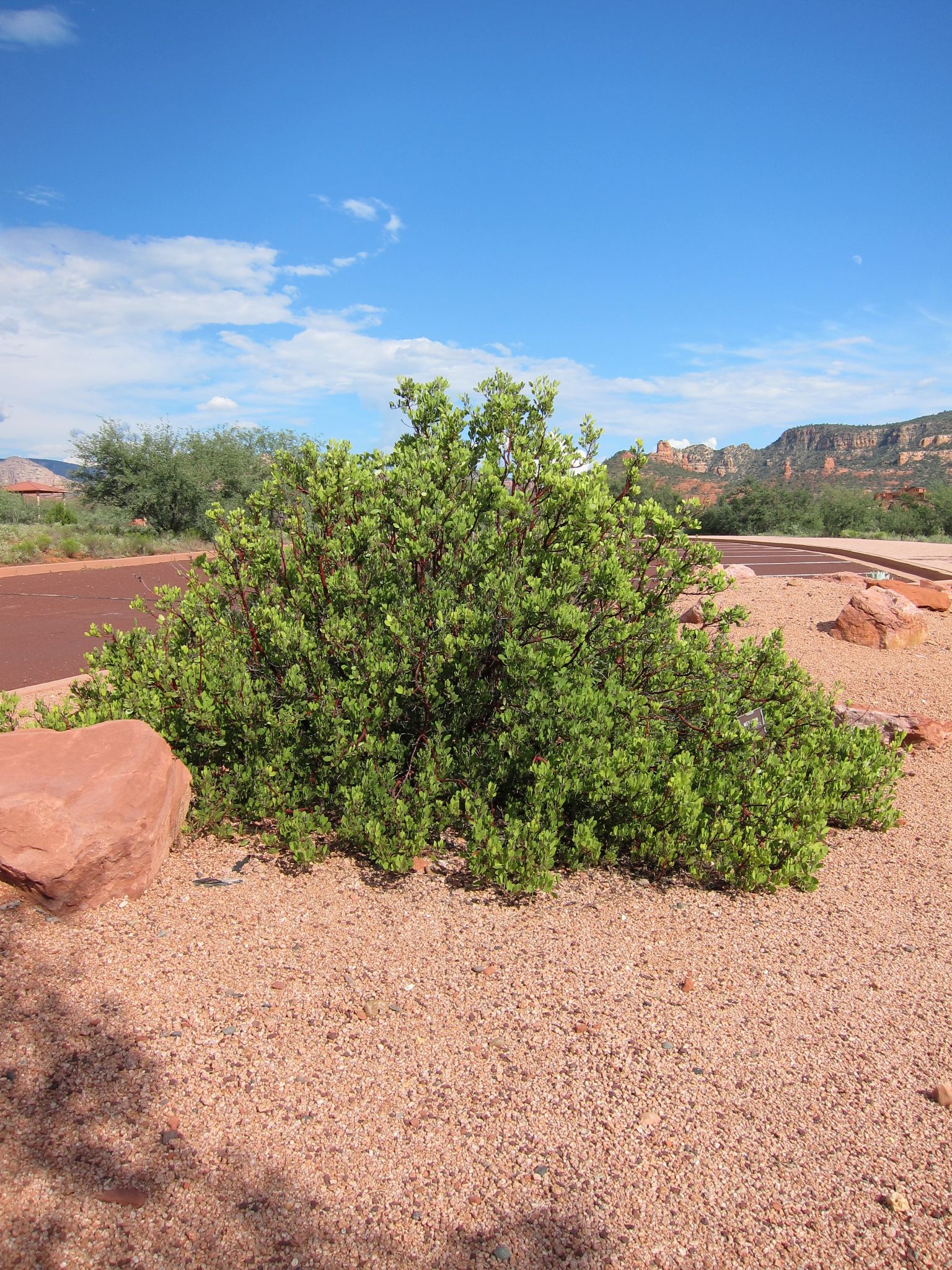 Photo 34 of 215 from the album Highlights Road Trip USA 2012.