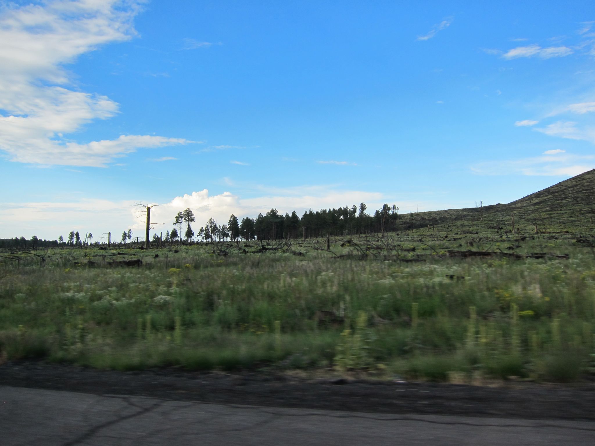 Photo 39 of 215 from the album Highlights Road Trip USA 2012.